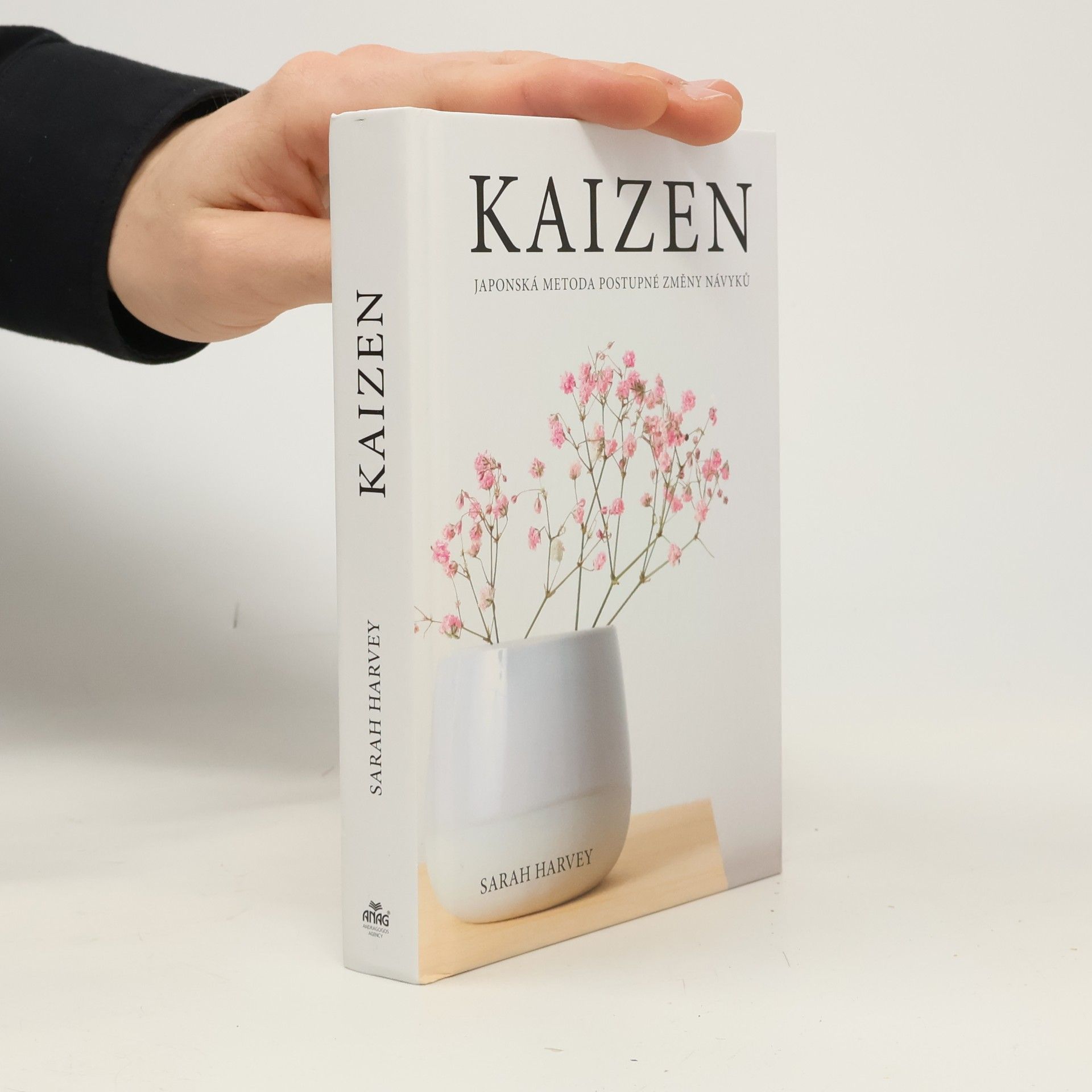 Kaizen: Japonská metoda postupné změny návyků