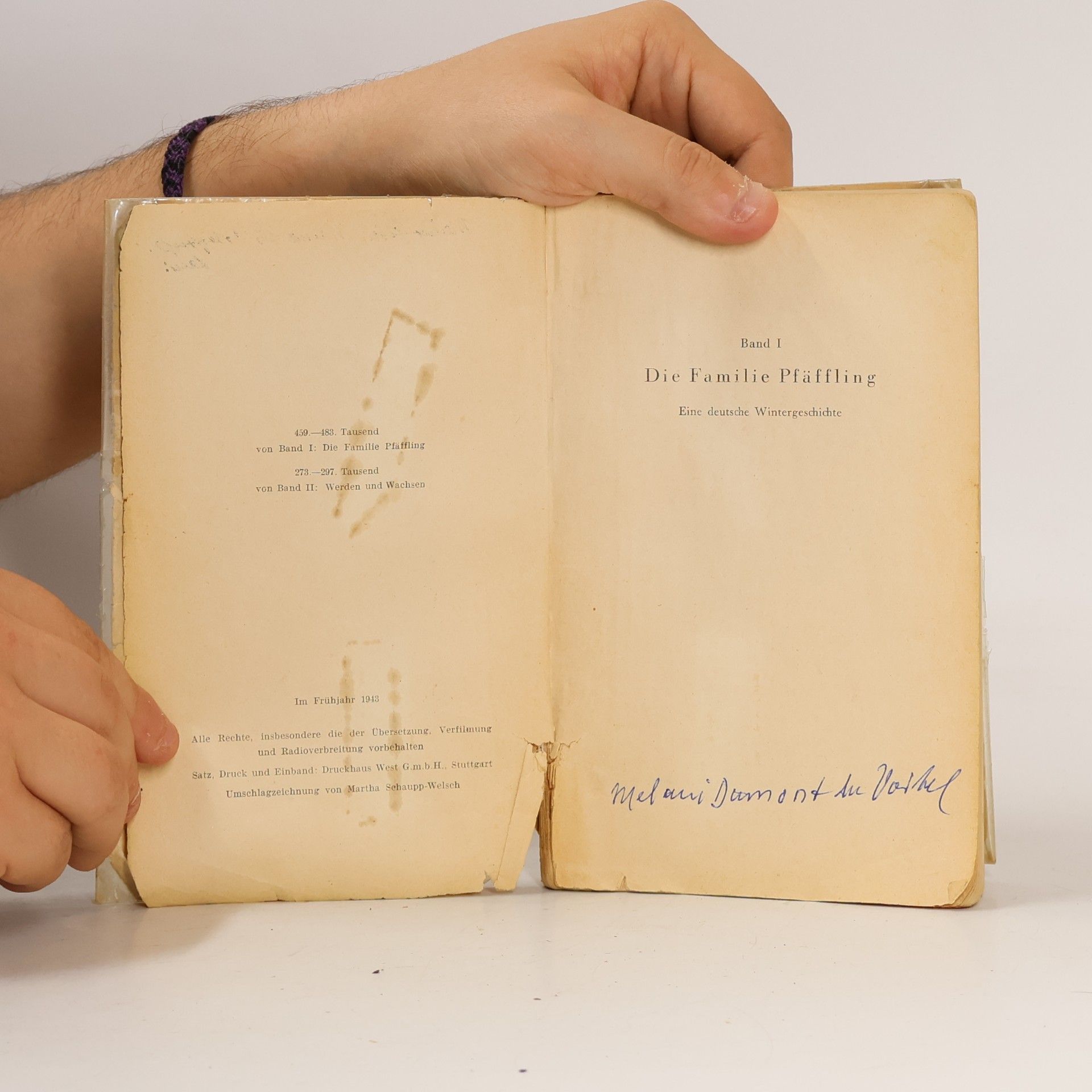 Agnes Sapper Die Familie Pfäffling I/II