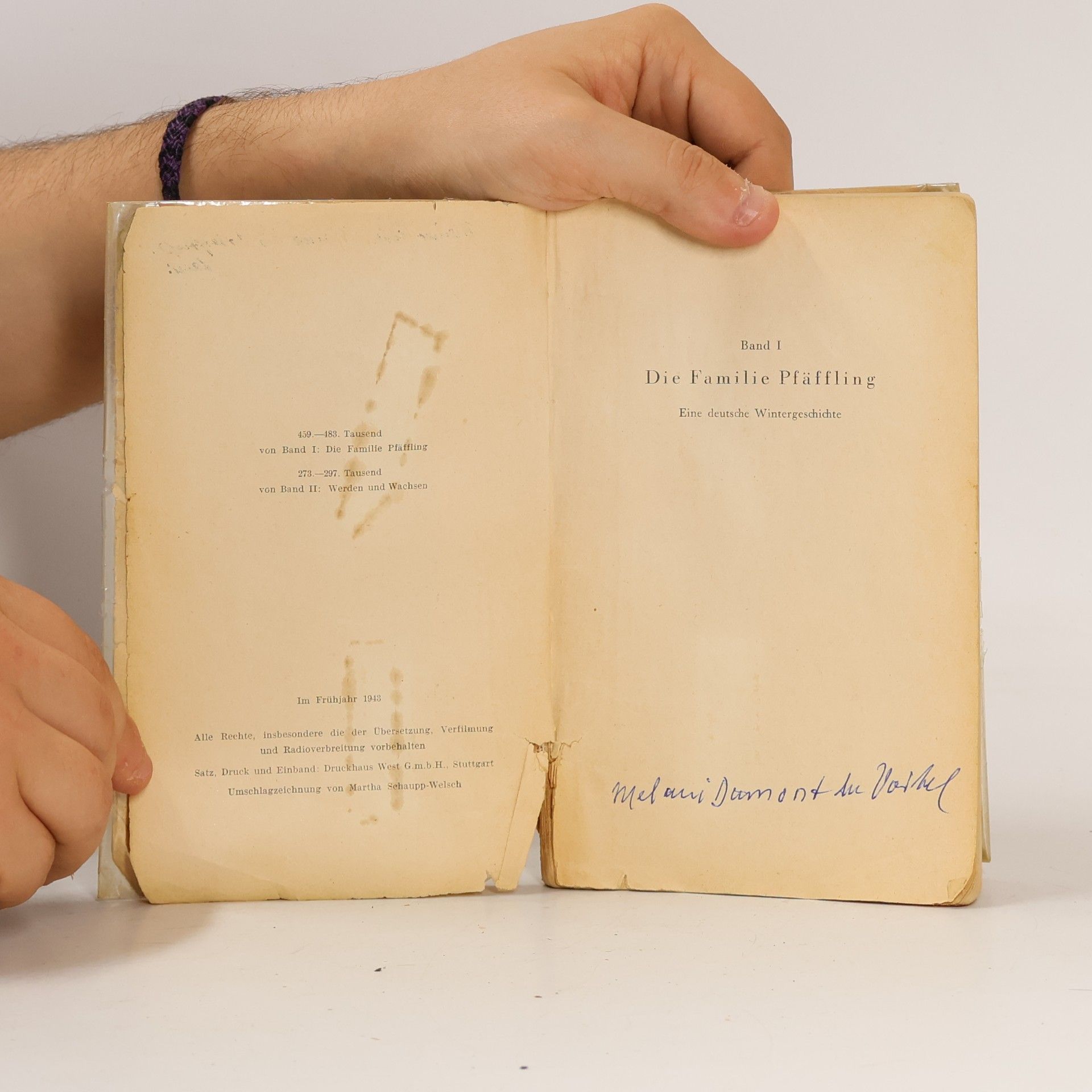 Agnes Sapper Die Familie Pfäffling I/II