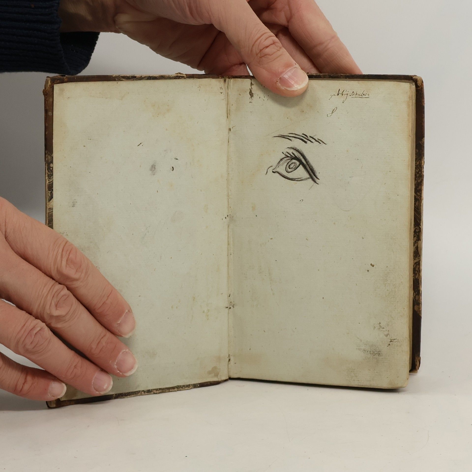 Paul Aler Gradus ad Parnassum sive Novus synonymorum, epithetorum, et phrasium poeticarum thesaurus