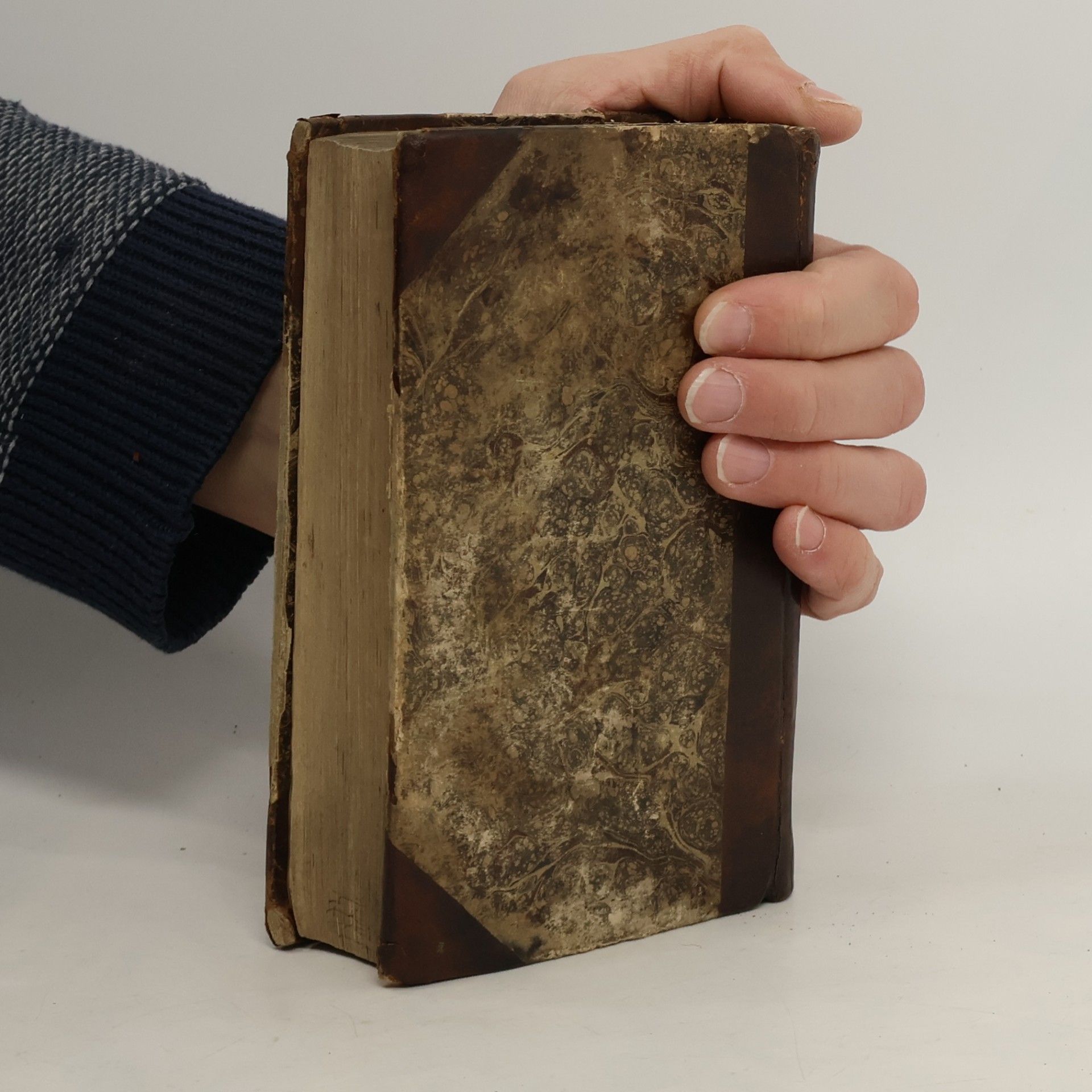 Paul Aler Gradus ad Parnassum sive Novus synonymorum, epithetorum, et phrasium poeticarum thesaurus