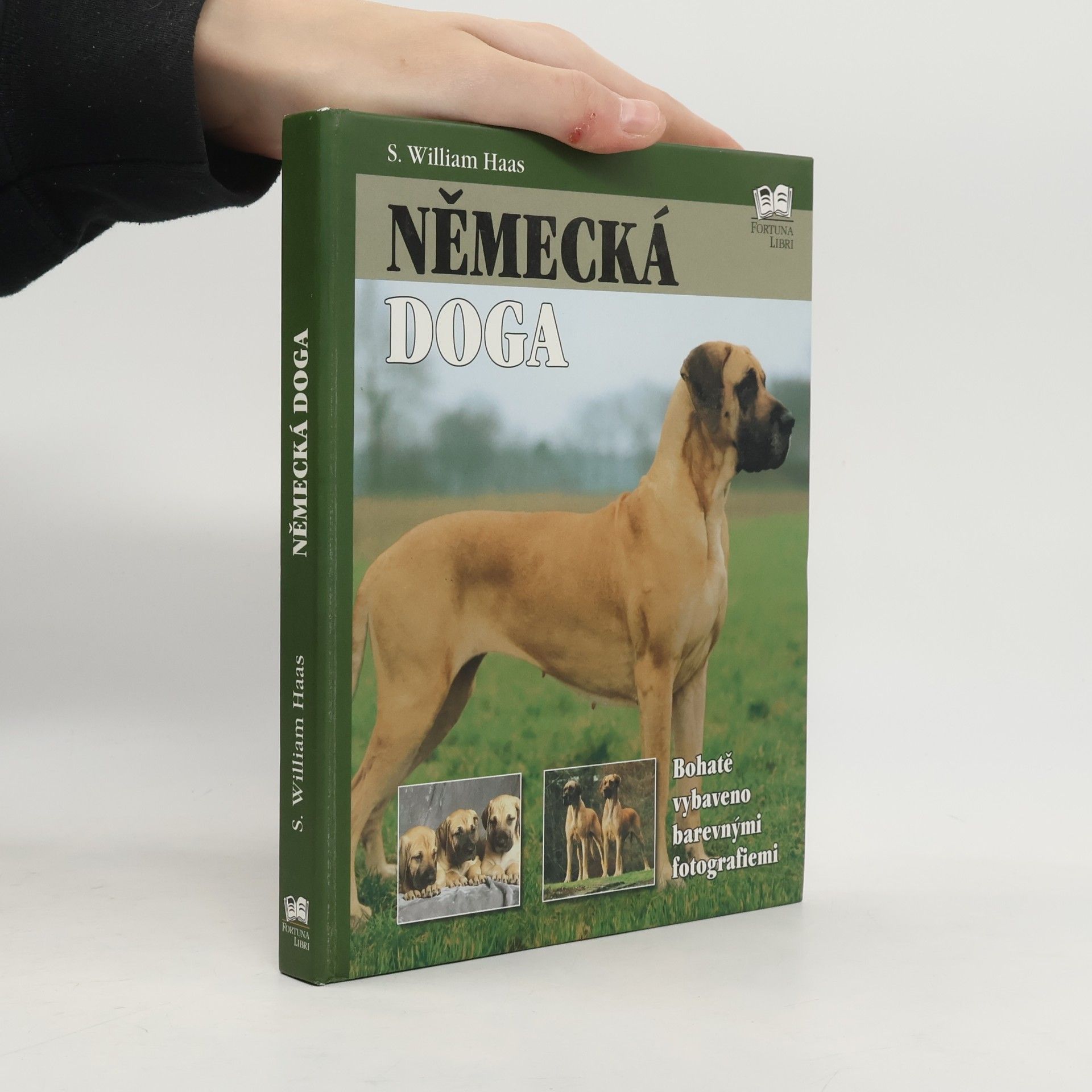Německá doga