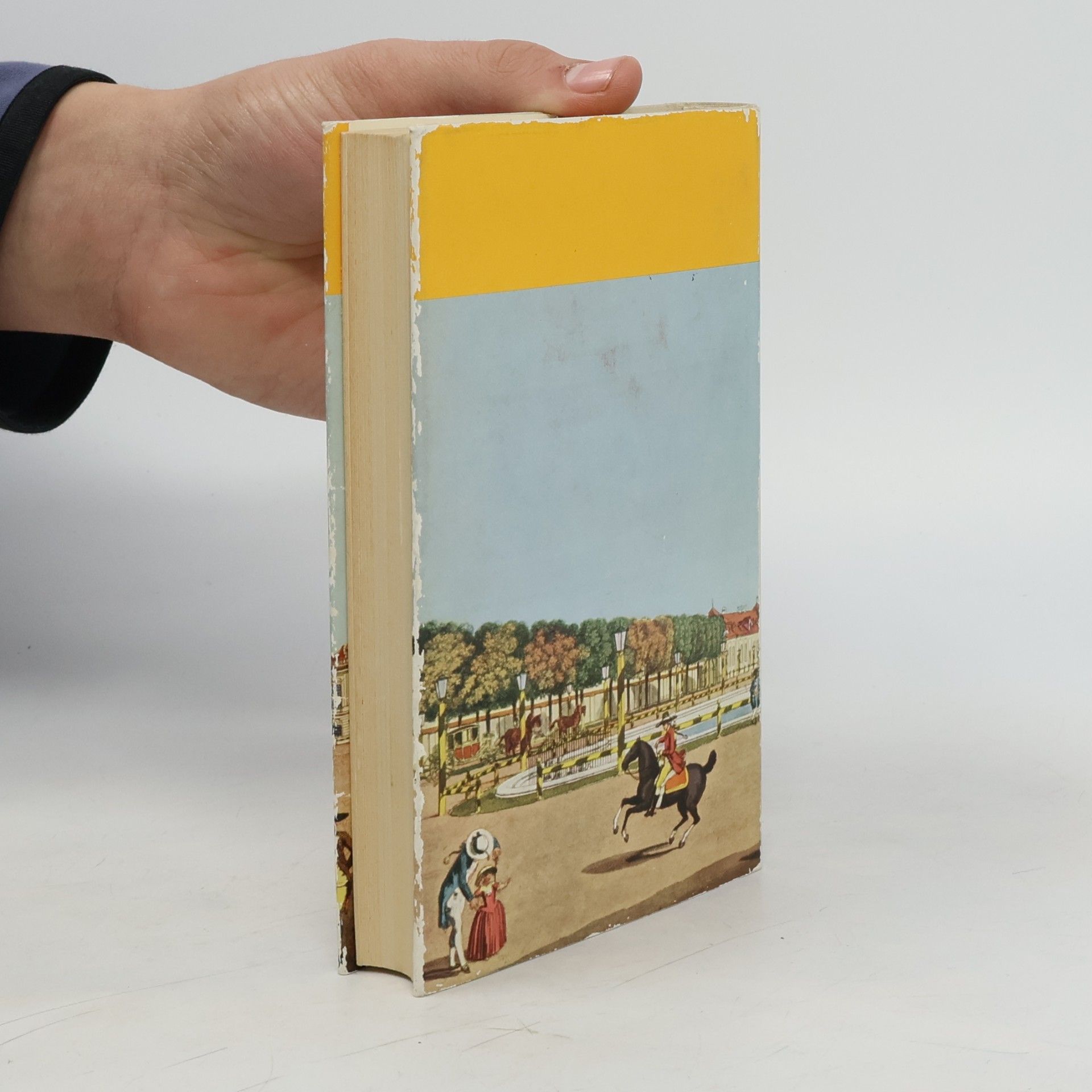 Autorenkollektiv Burgen und Schlösser in Österreich