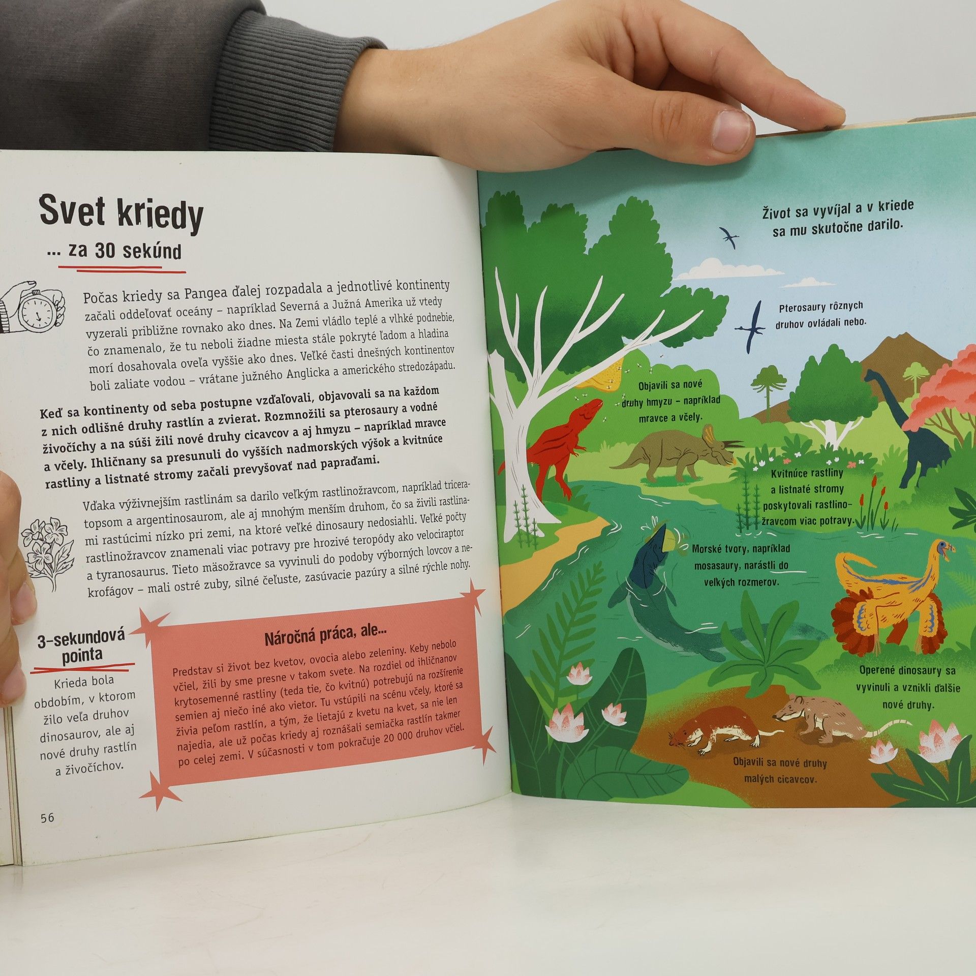 Sean Callery Dinosaury za 30 sekúnd