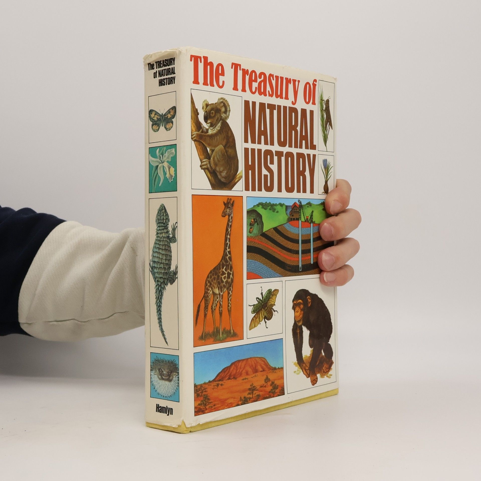 The Treasury of Natural History