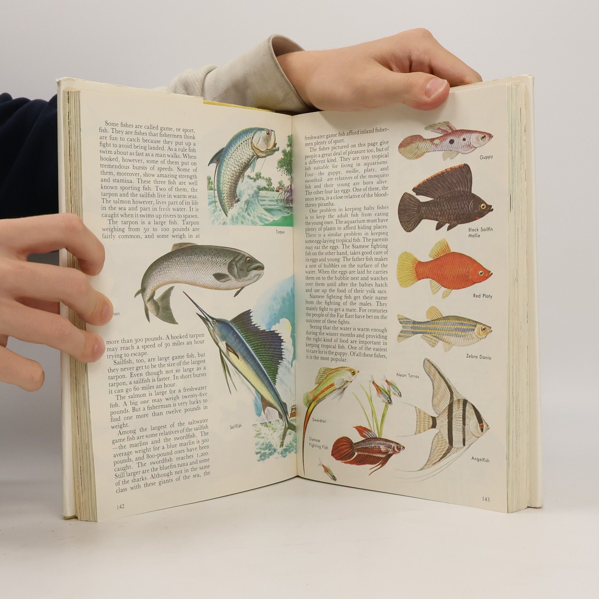 Bertha Morris Parker The Treasury of Natural History