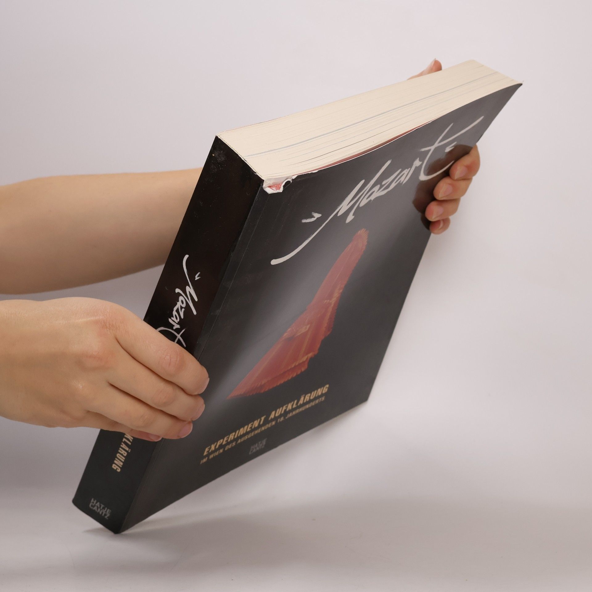 Autores varios Mozart. Experiment Aufklärung
