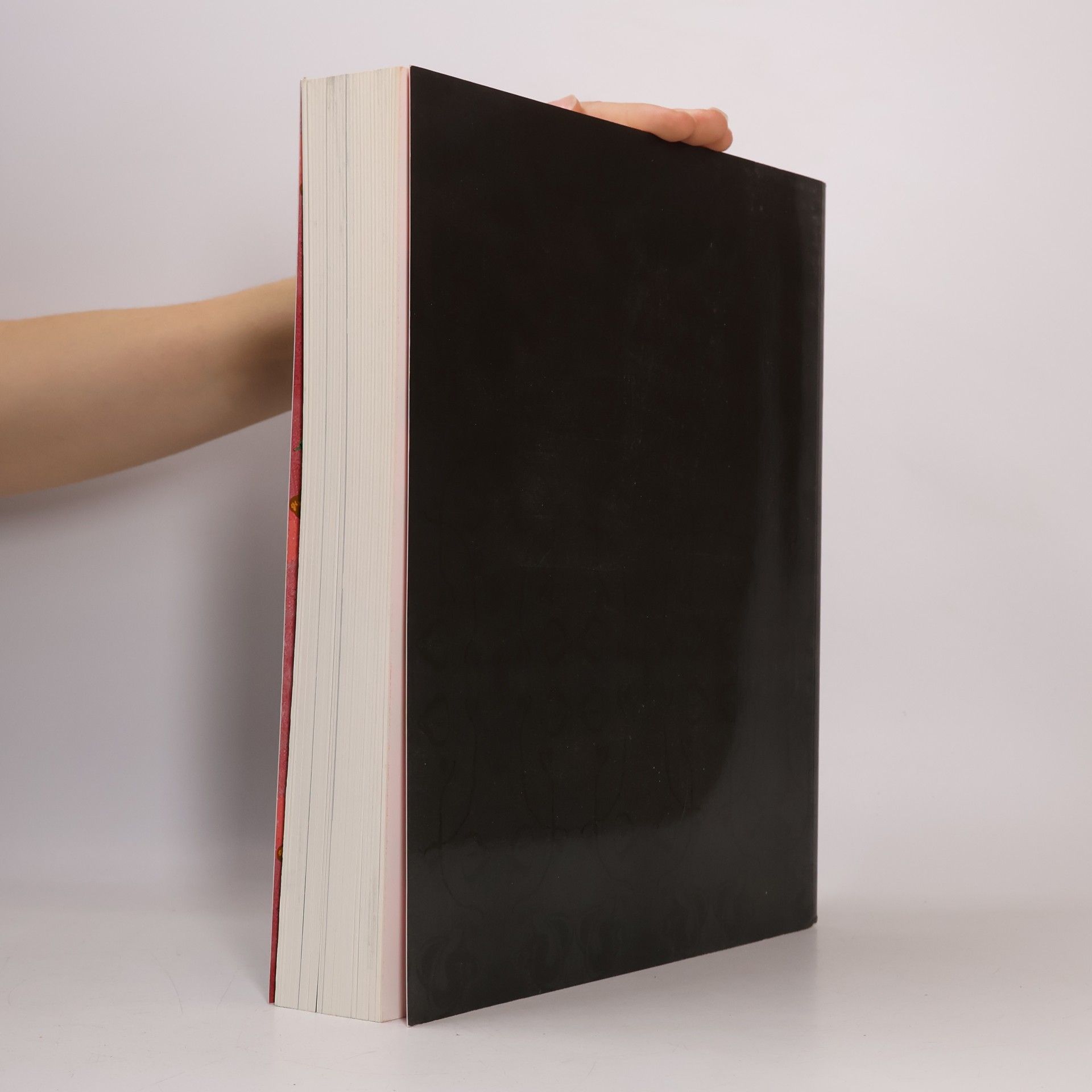 Autores varios Mozart. Experiment Aufklärung