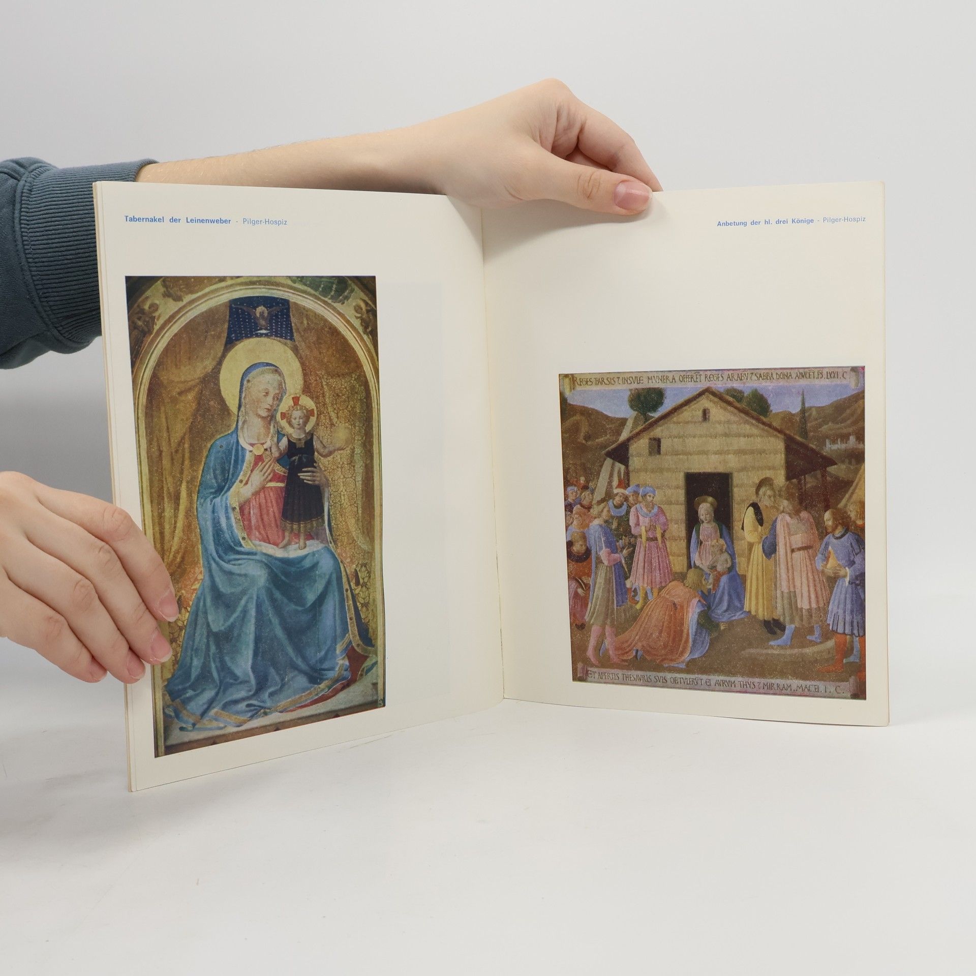 Massimo Di Volo Beato Angelico in San Marco