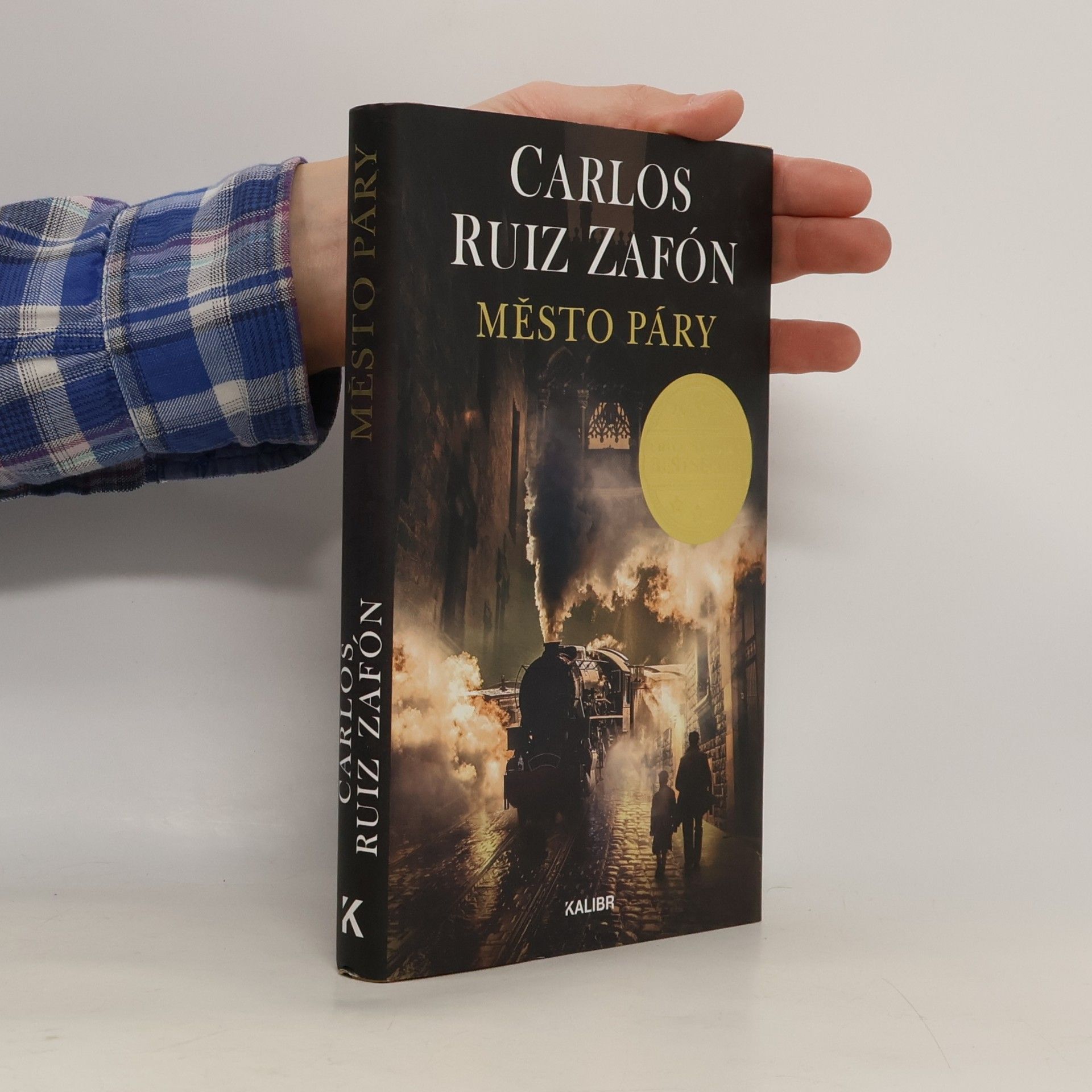 Carlos Ruiz Zafón Město páry