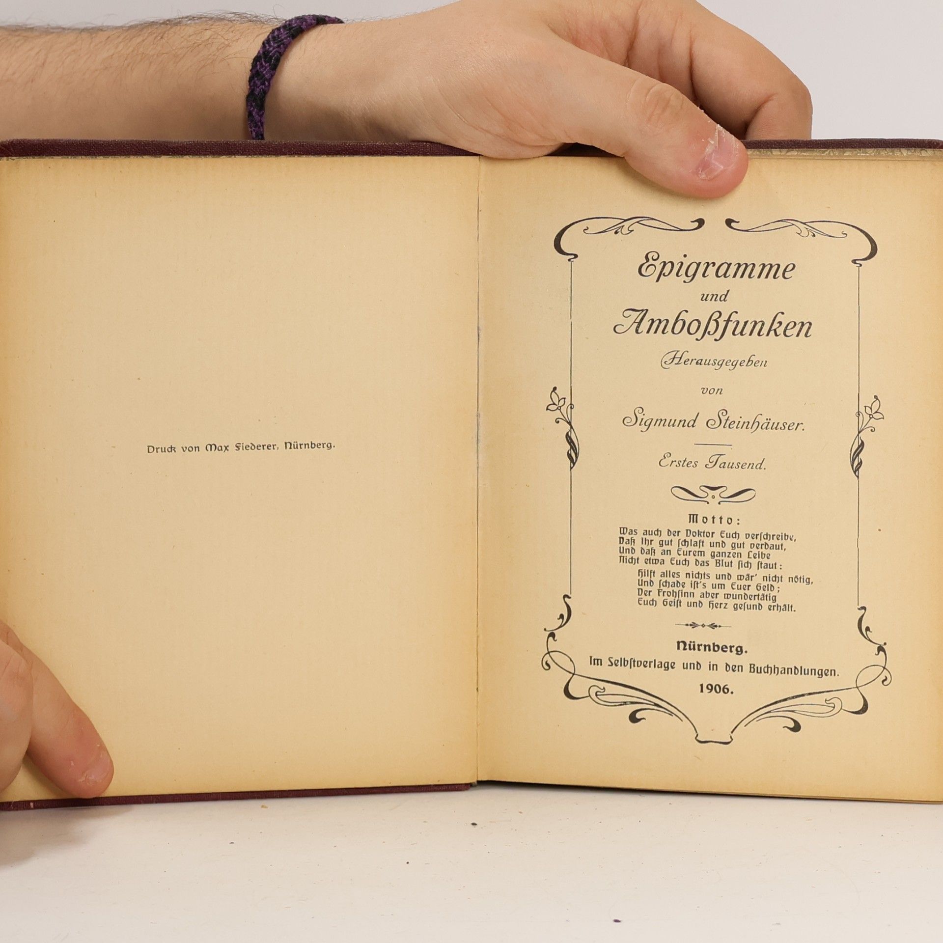 Sigmund Steinhäuser Epigramme und Ambossfunken