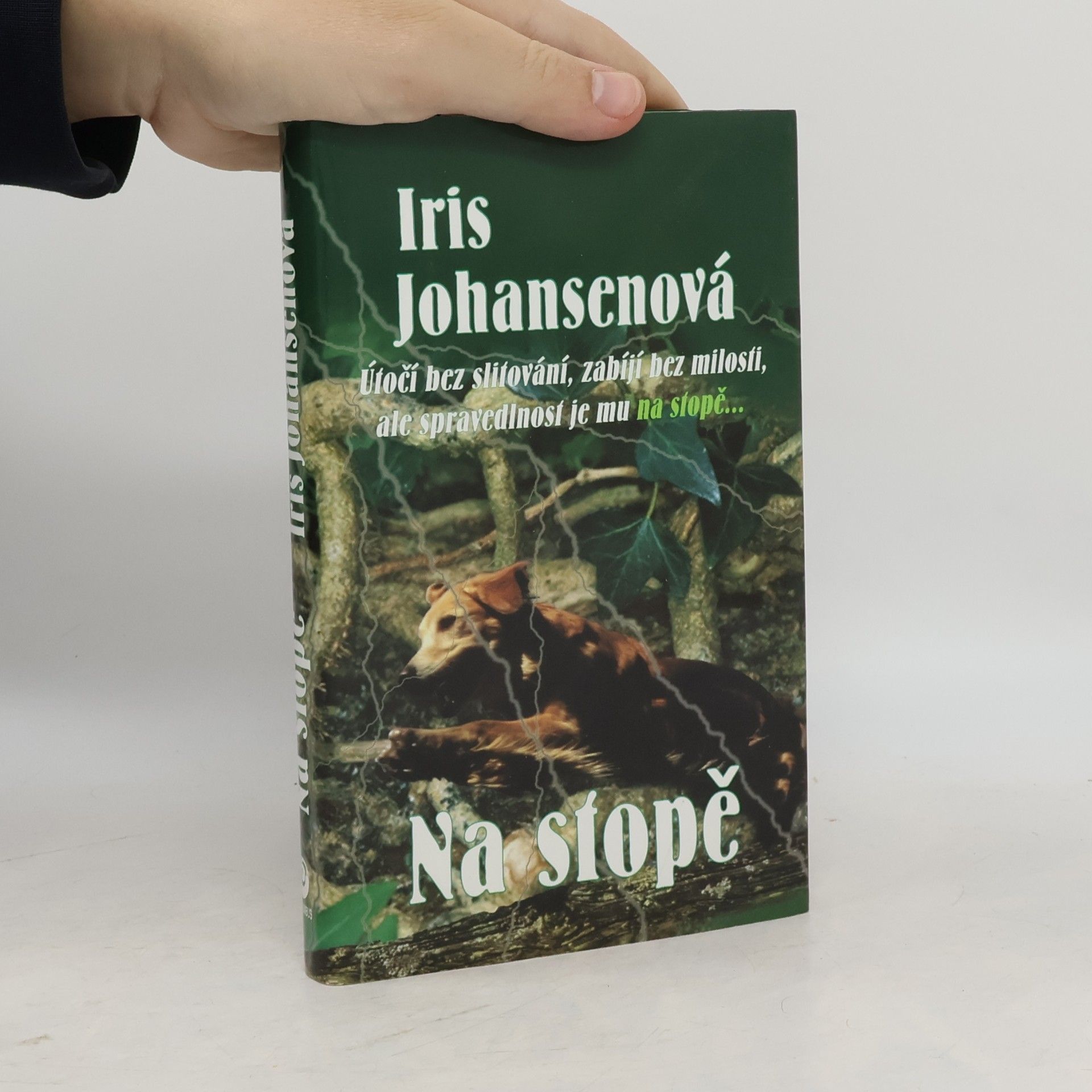 Na stopě
