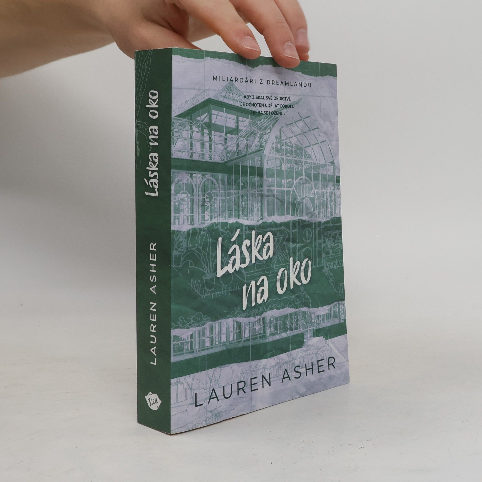 Lauren Asher Láska na oko