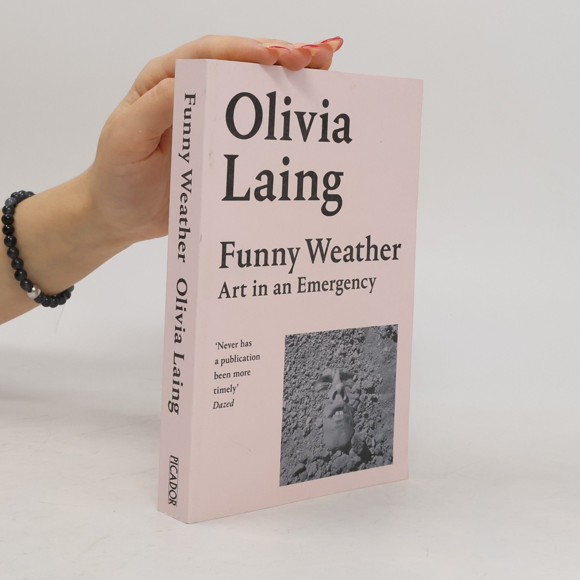 Olivia Laing Funny Weather