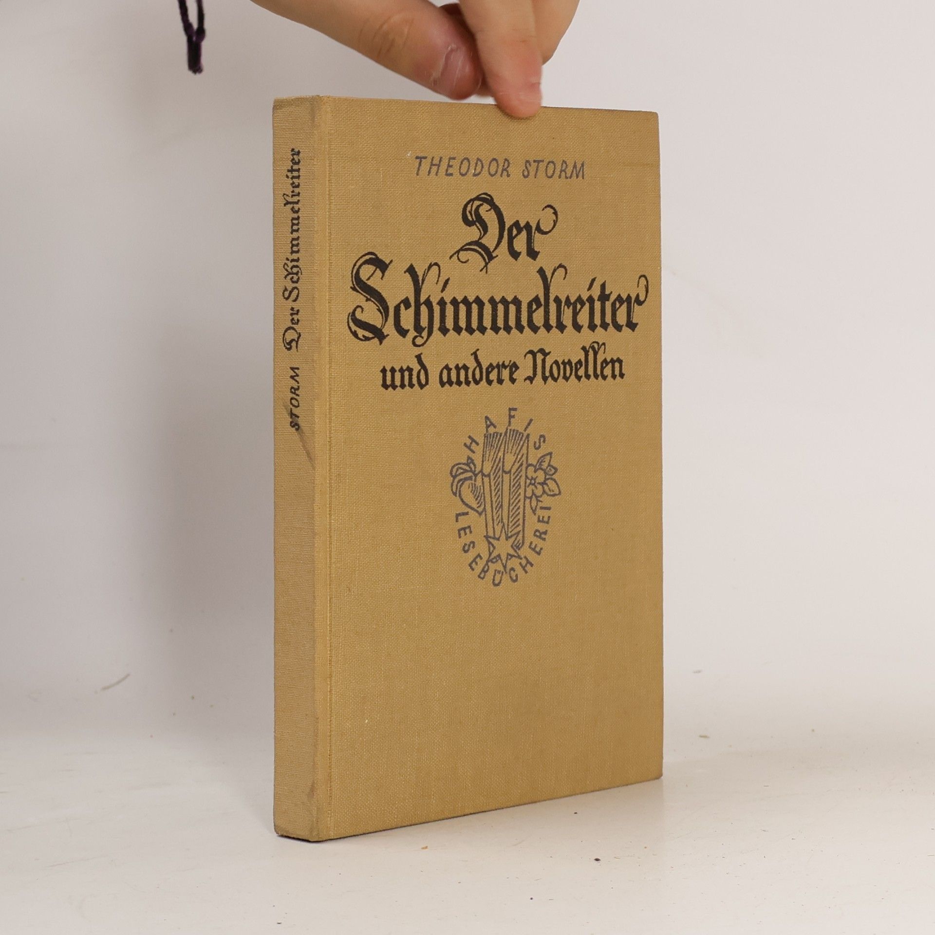 Theodor Storm Der Schimmelreiter und andere Novellen