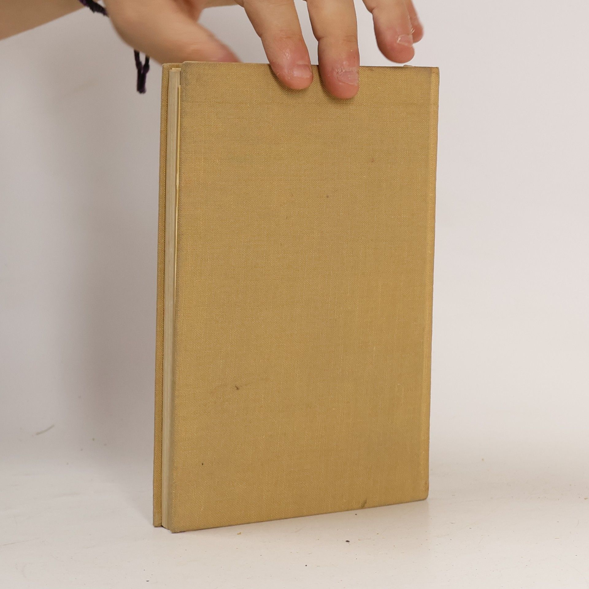 Theodor Storm Der Schimmelreiter und andere Novellen