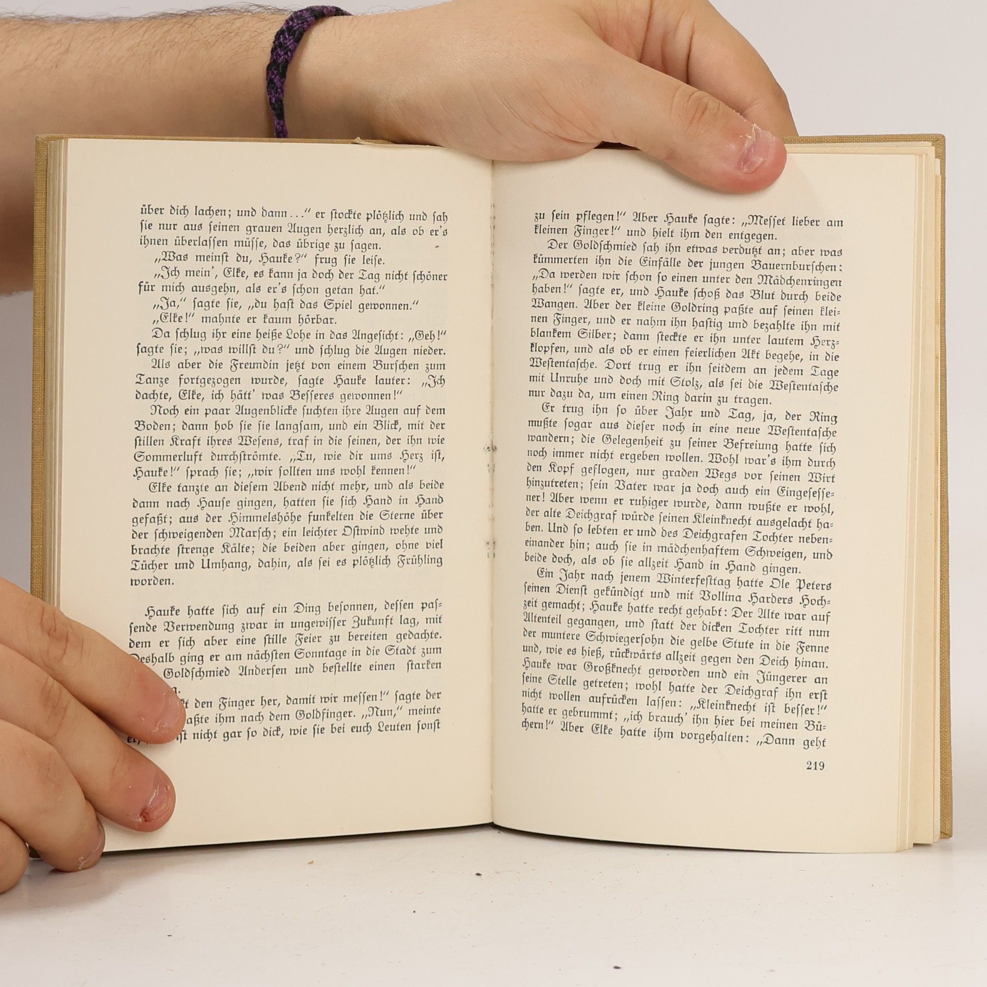 Theodor Storm Der Schimmelreiter und andere Novellen