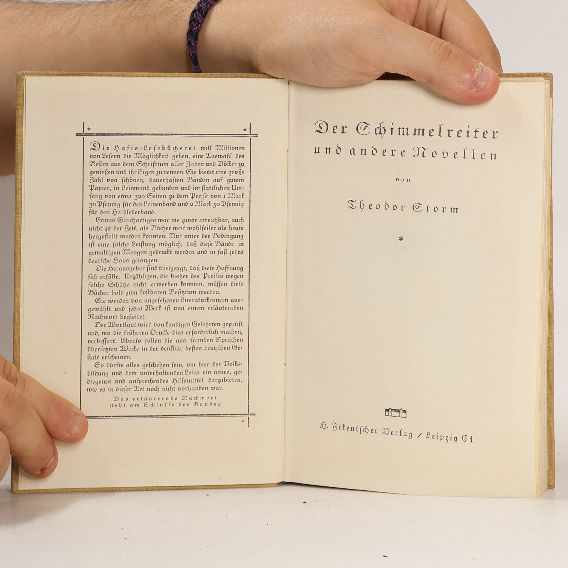 Theodor Storm Der Schimmelreiter und andere Novellen