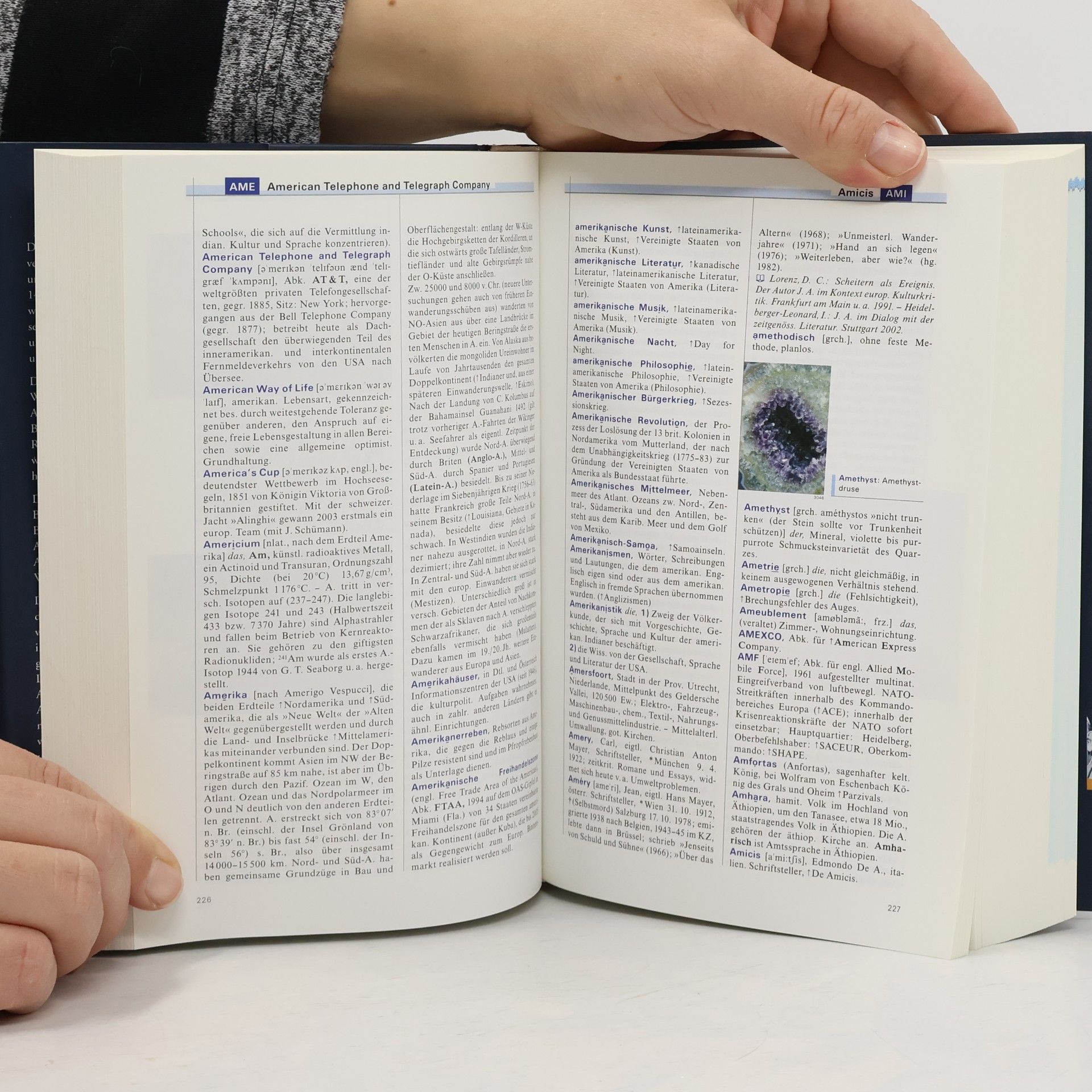 Kolektiv autorů Die Zeit: das Lexikon in 20 Bänden