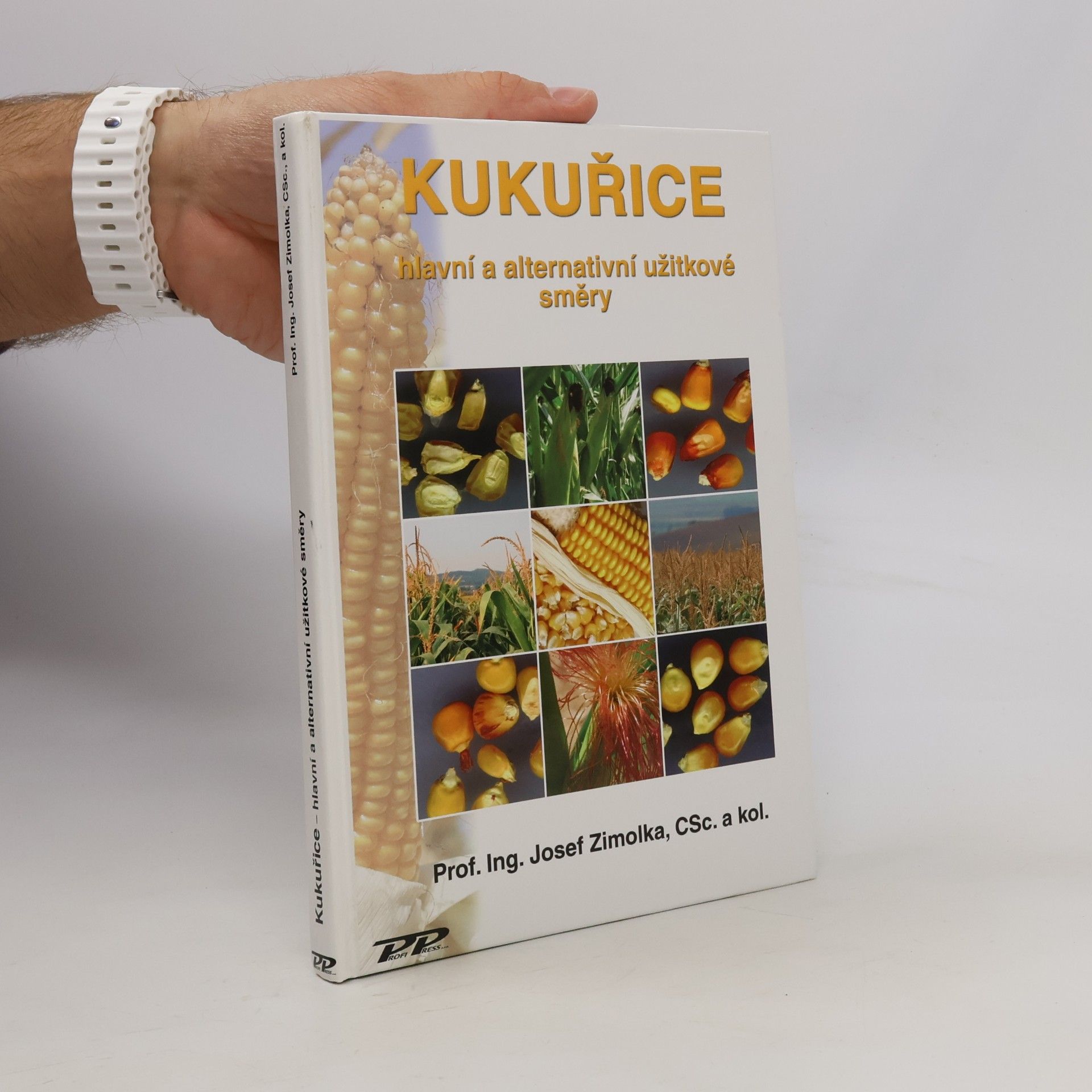 Kukuřice - hlavní a alternativní užitkové směry