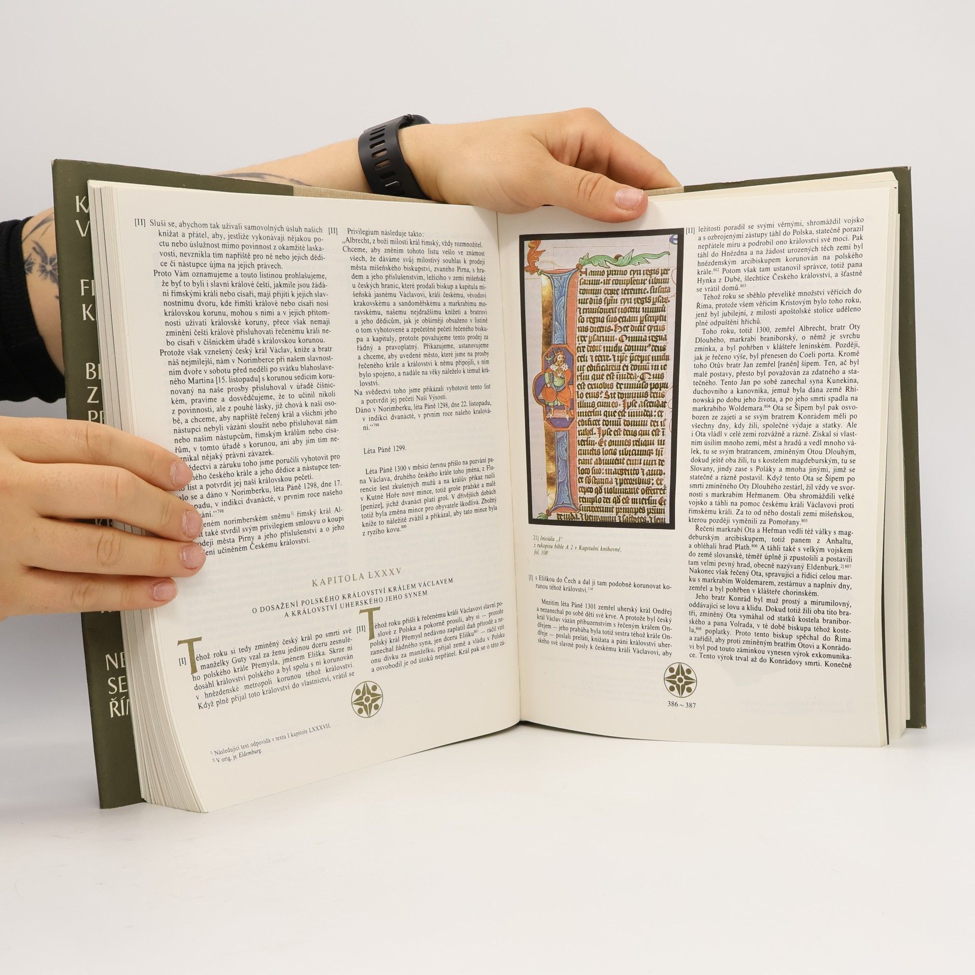 Various authors Kroniky doby Karla IV.