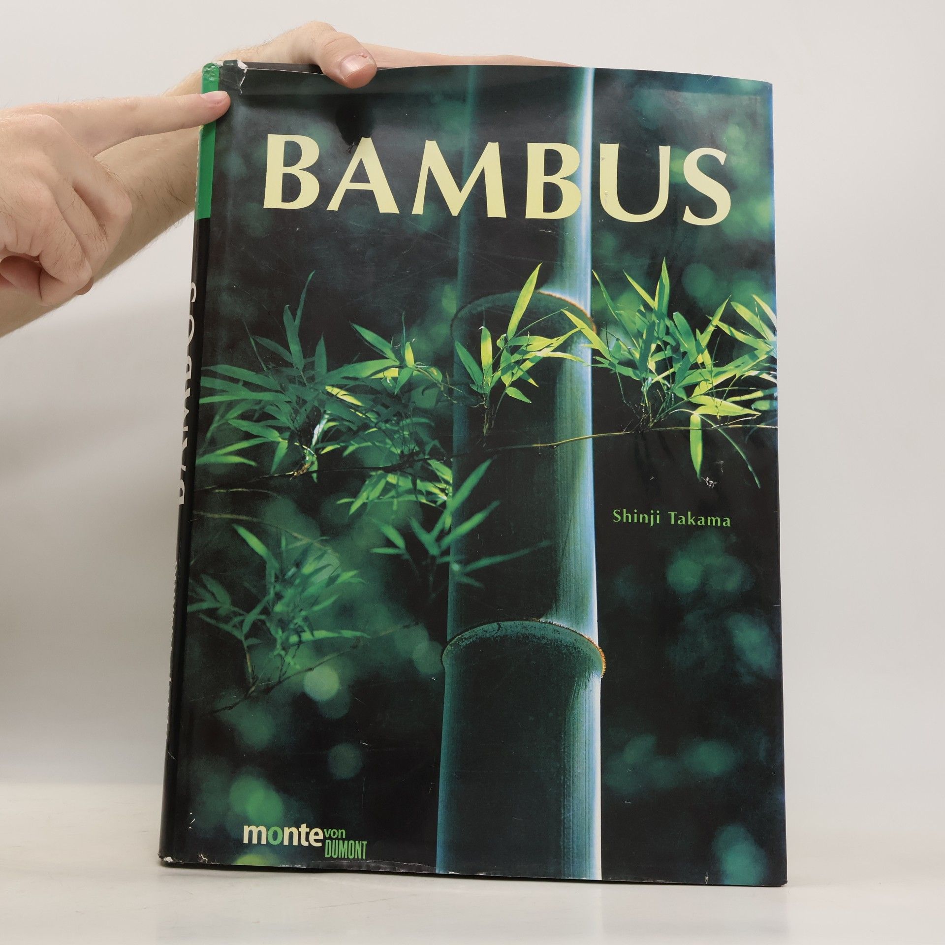 Shinji Takama Bambus