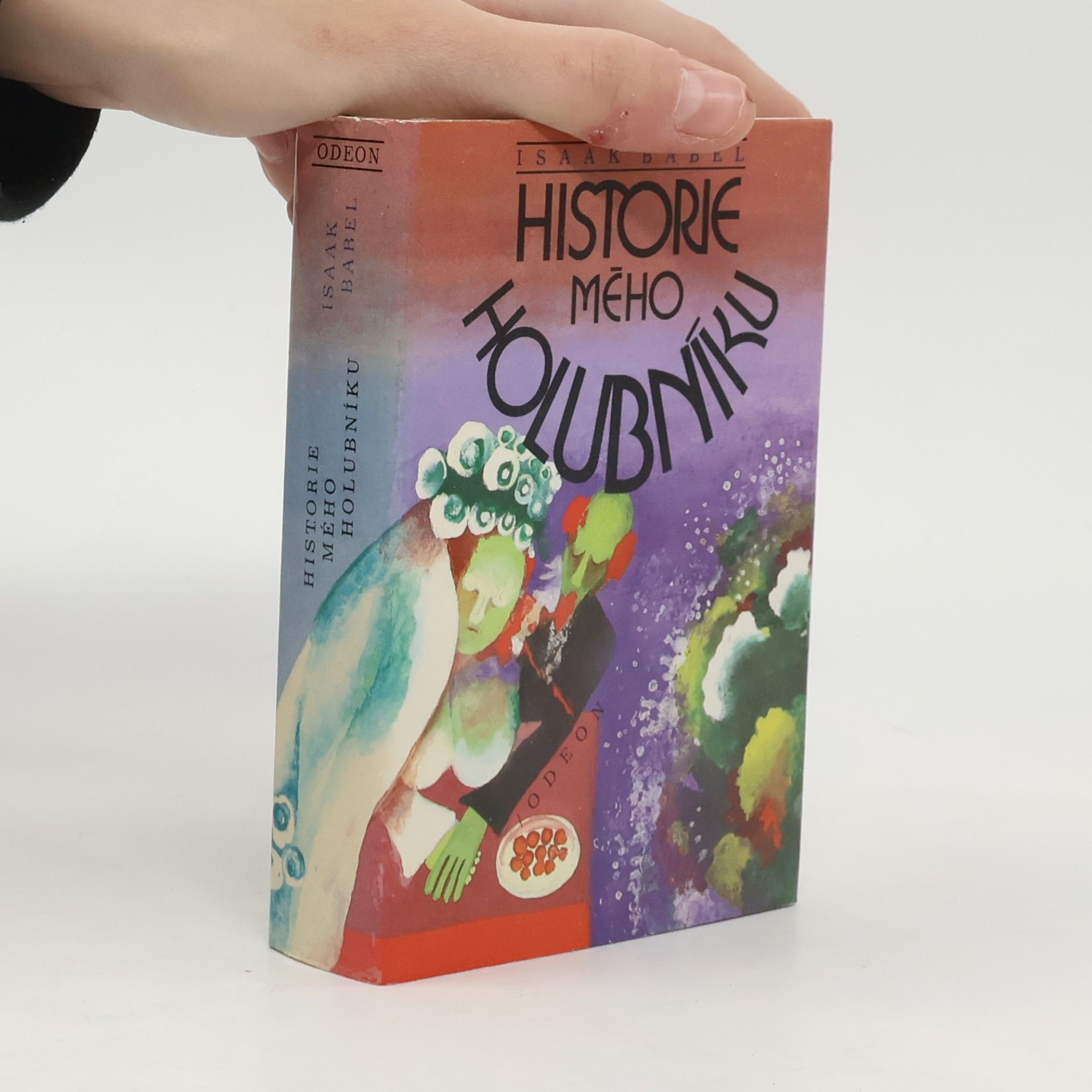 Historie mého holubníku