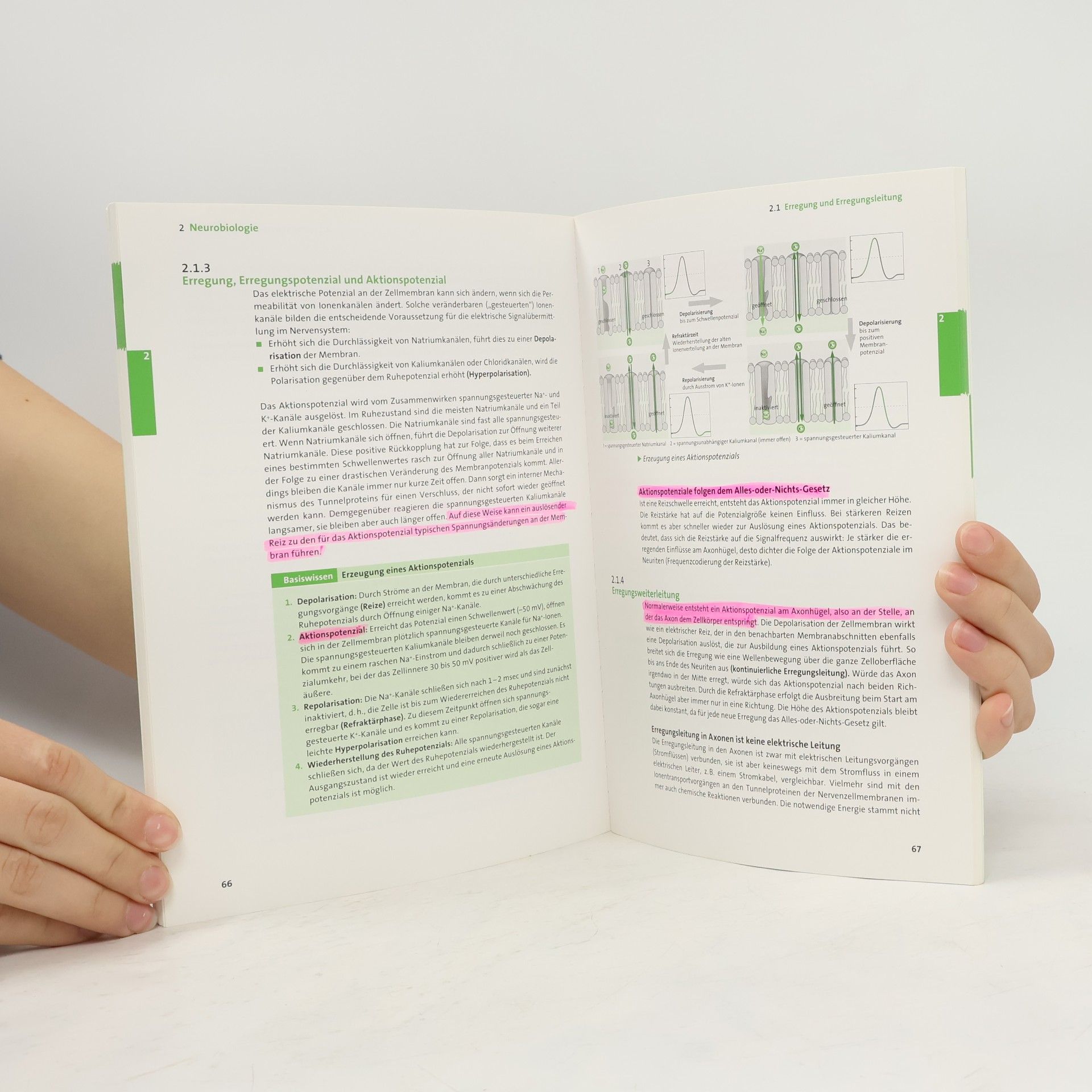 Wilfried Probst Duden - Abiwissen: Abiwissen Biologie
