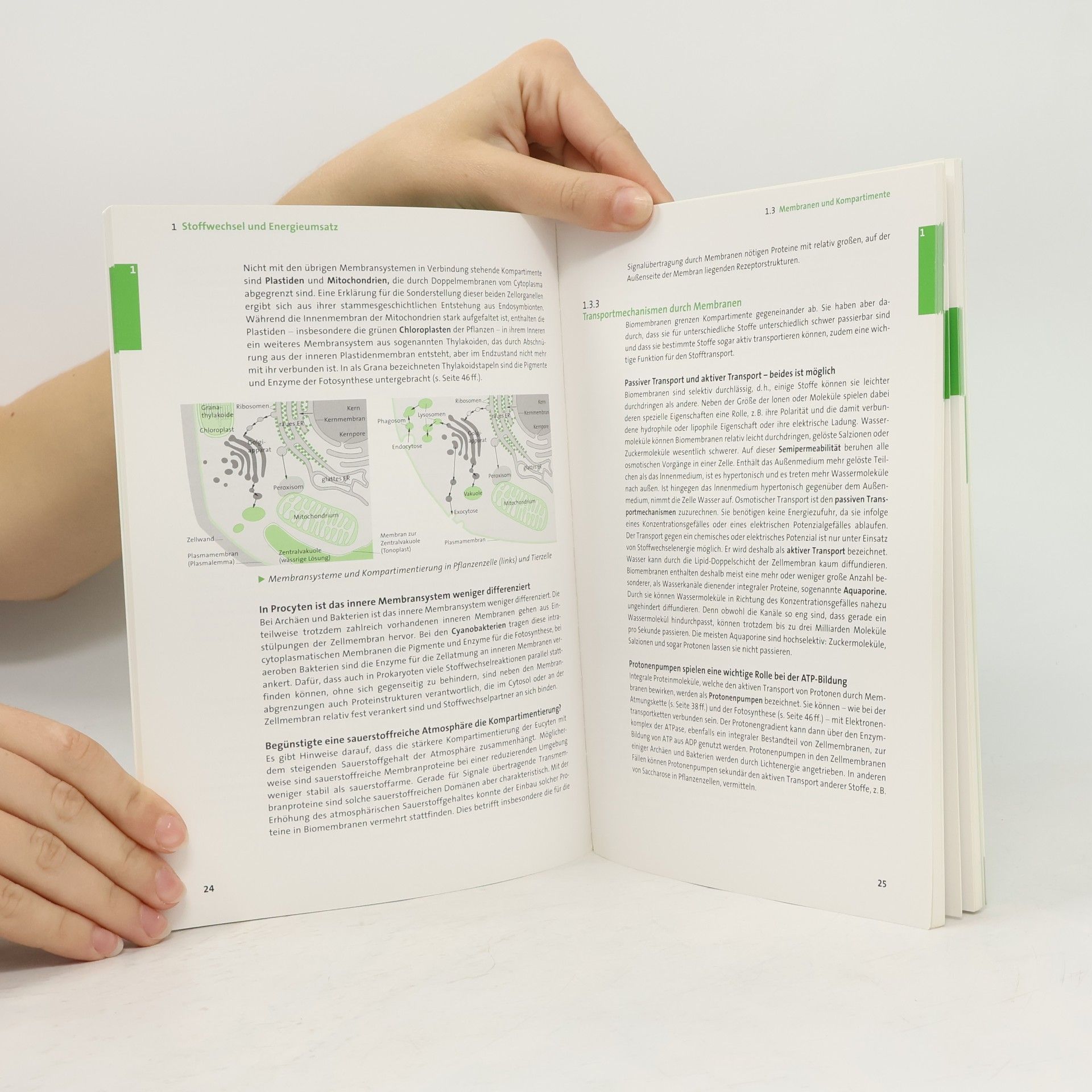 Wilfried Probst Duden - Abiwissen: Abiwissen Biologie
