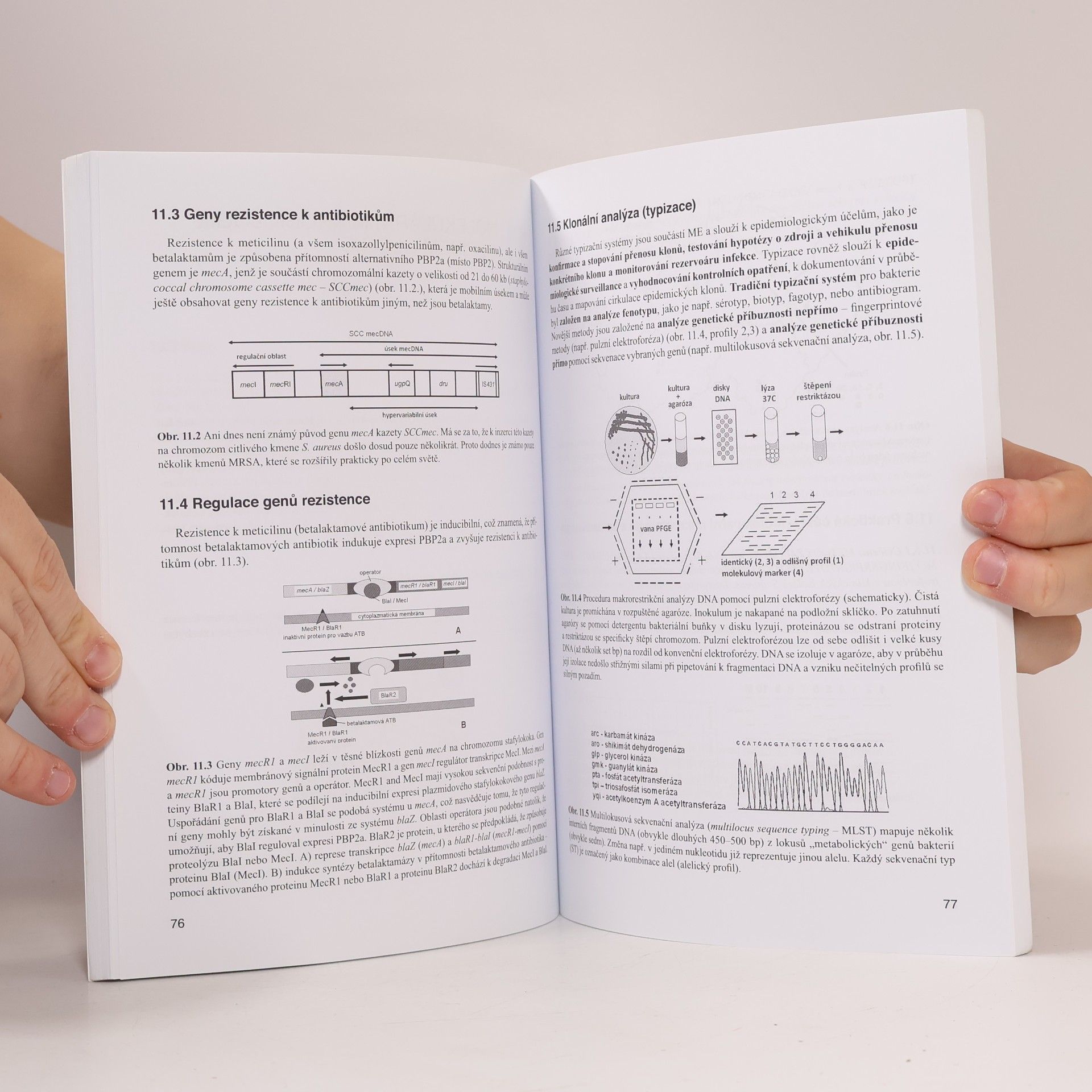 Oto Melter Principy a praktika lékařské mikrobiologie