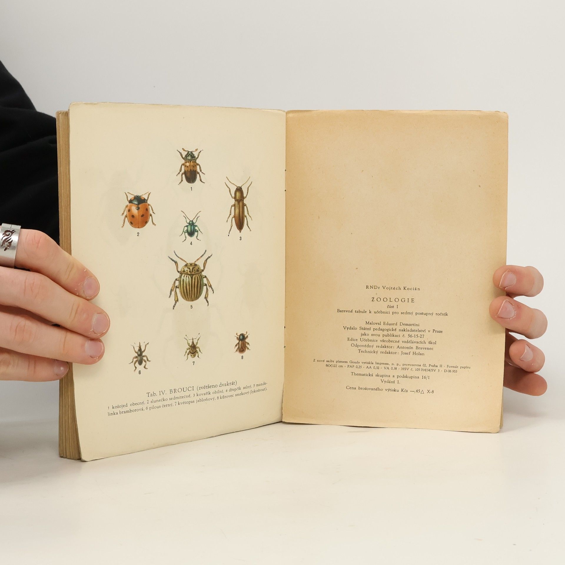 Vojtěch Kocian Zoologie I.
