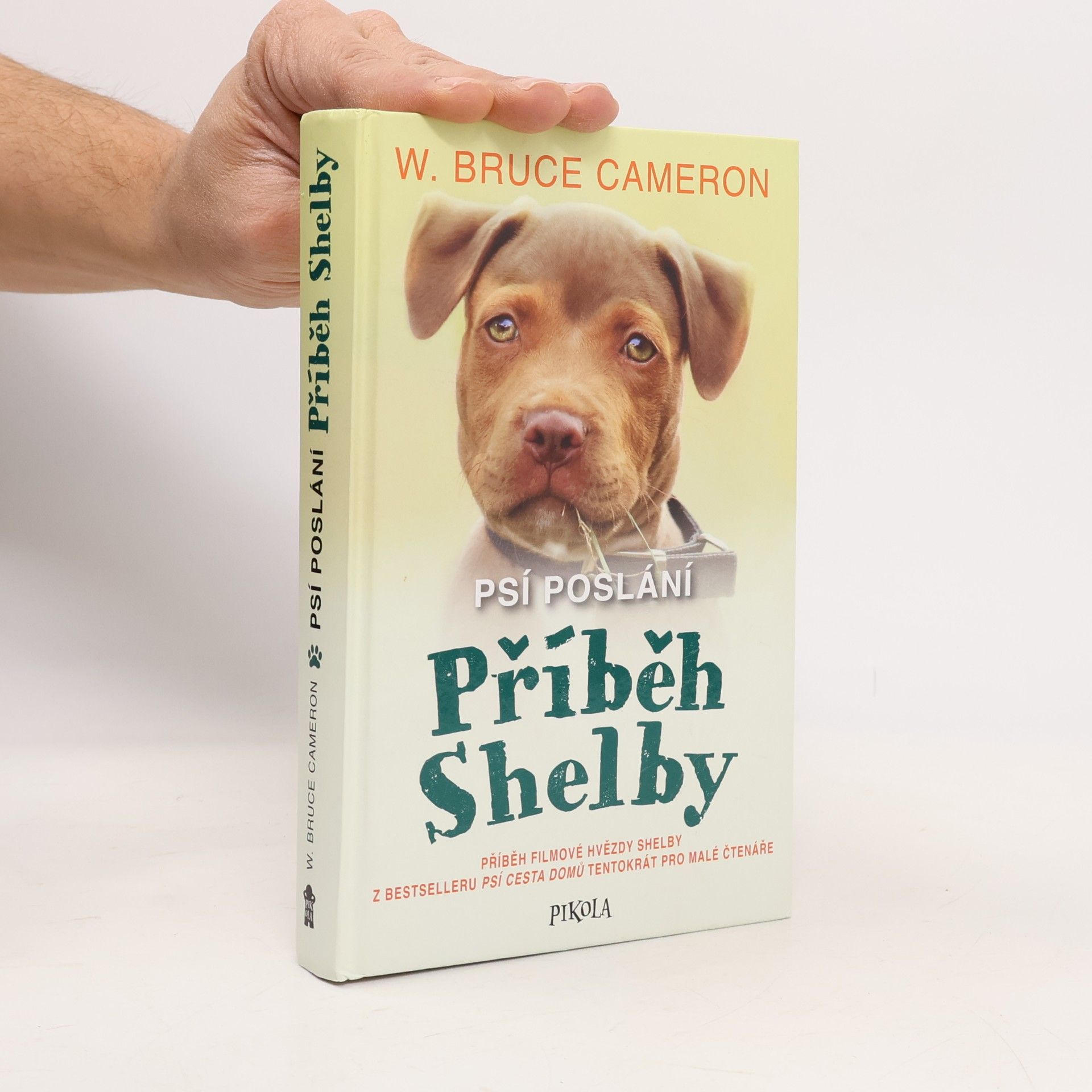 Psí poslání. Příběh Shelby