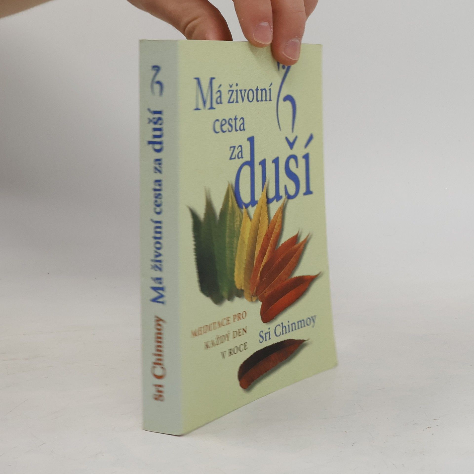 Sri Chinmoy Má životní cesta za duší : meditace pro každý den v roce