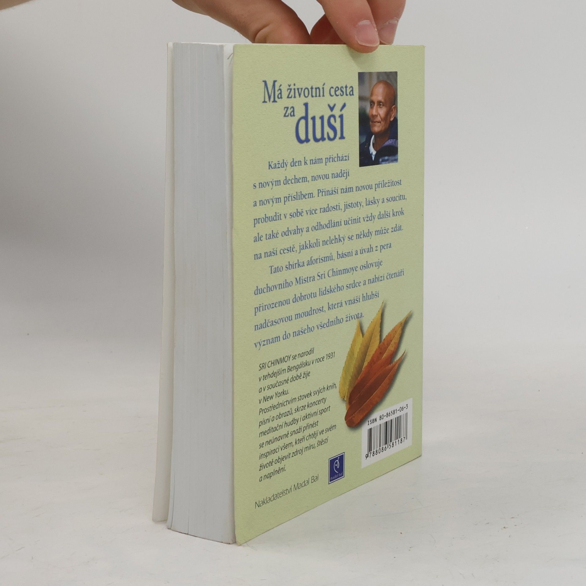 Sri Chinmoy Má životní cesta za duší : meditace pro každý den v roce