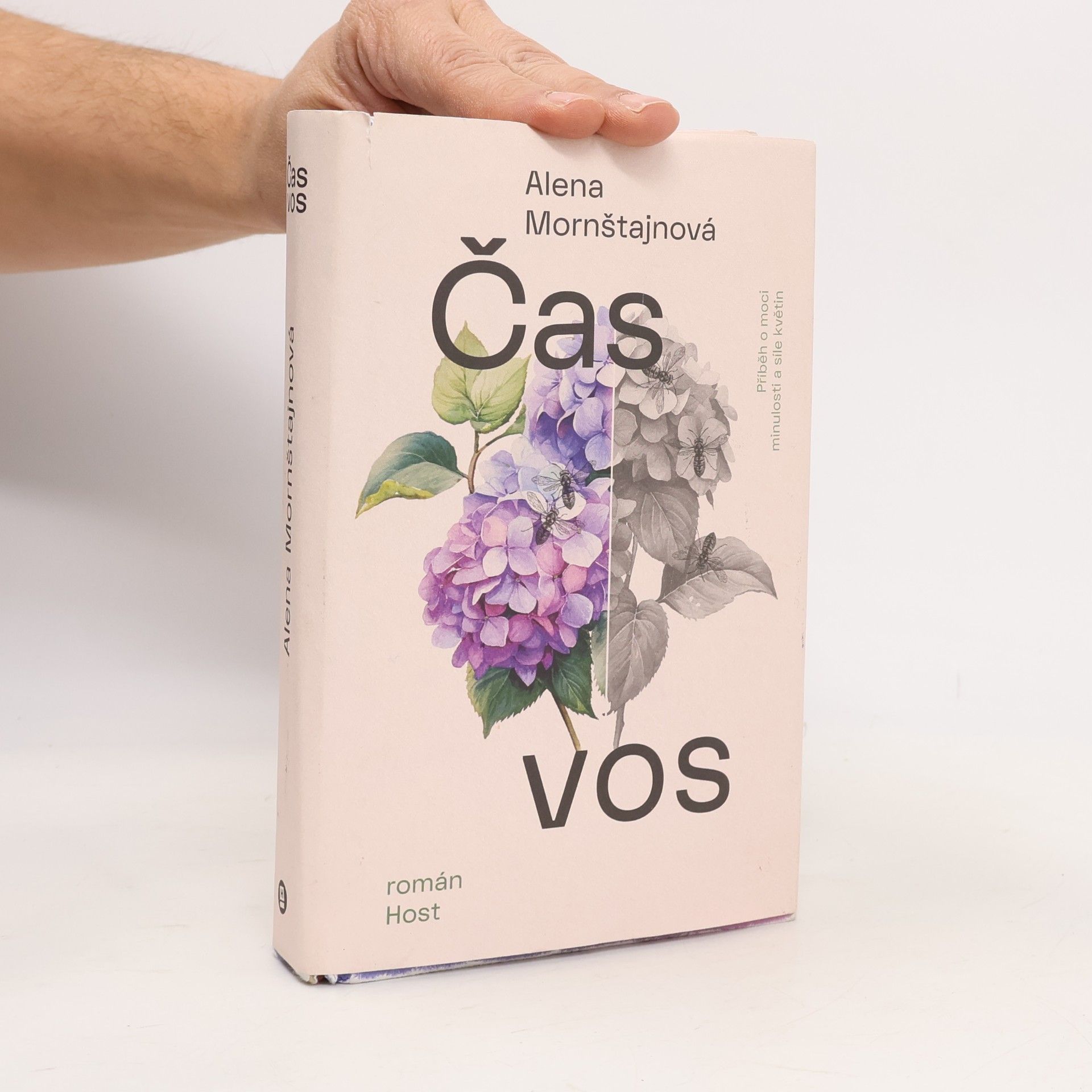 Čas vos
