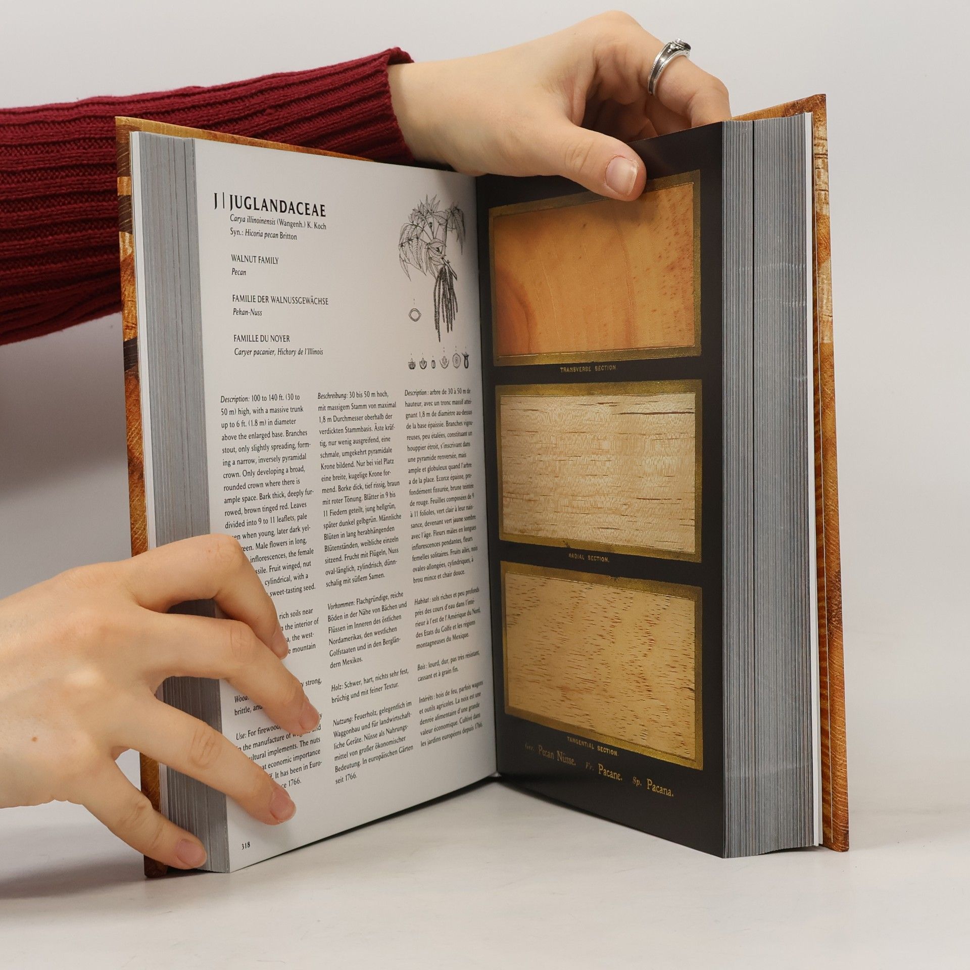 Andrew McRobb The woodbook