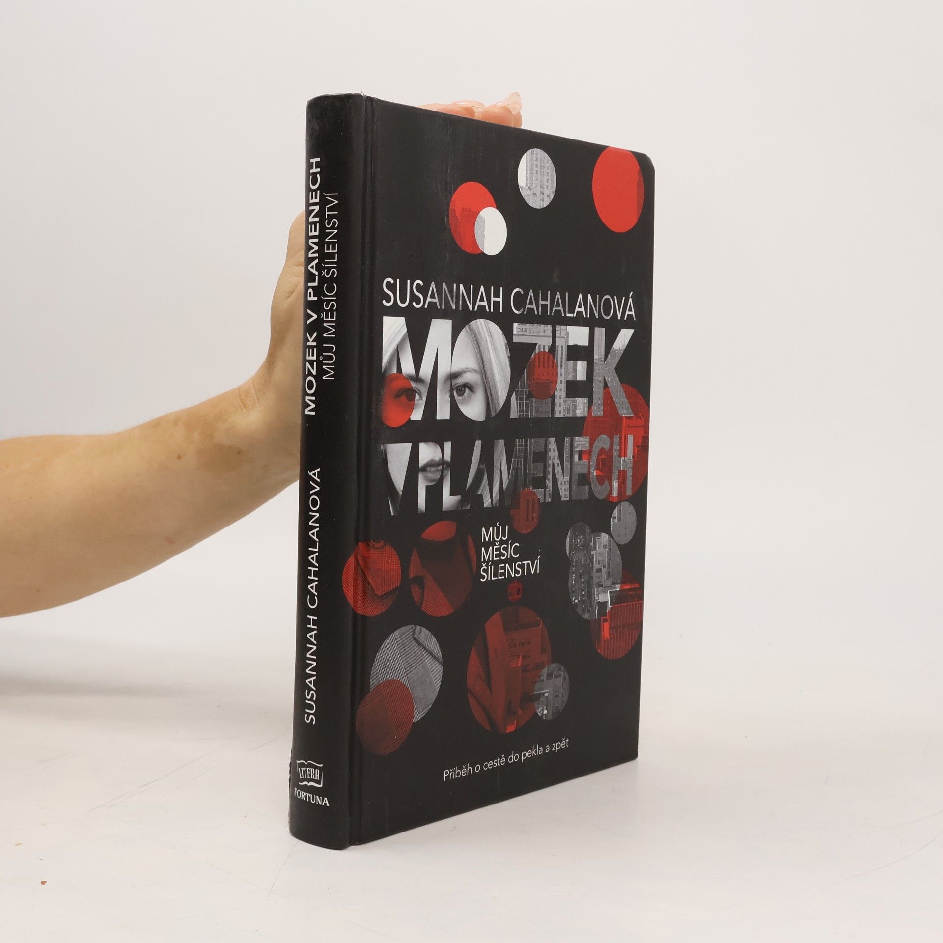 Susannah Cahalan Mozek v plamenech : můj měsíc šílenství
