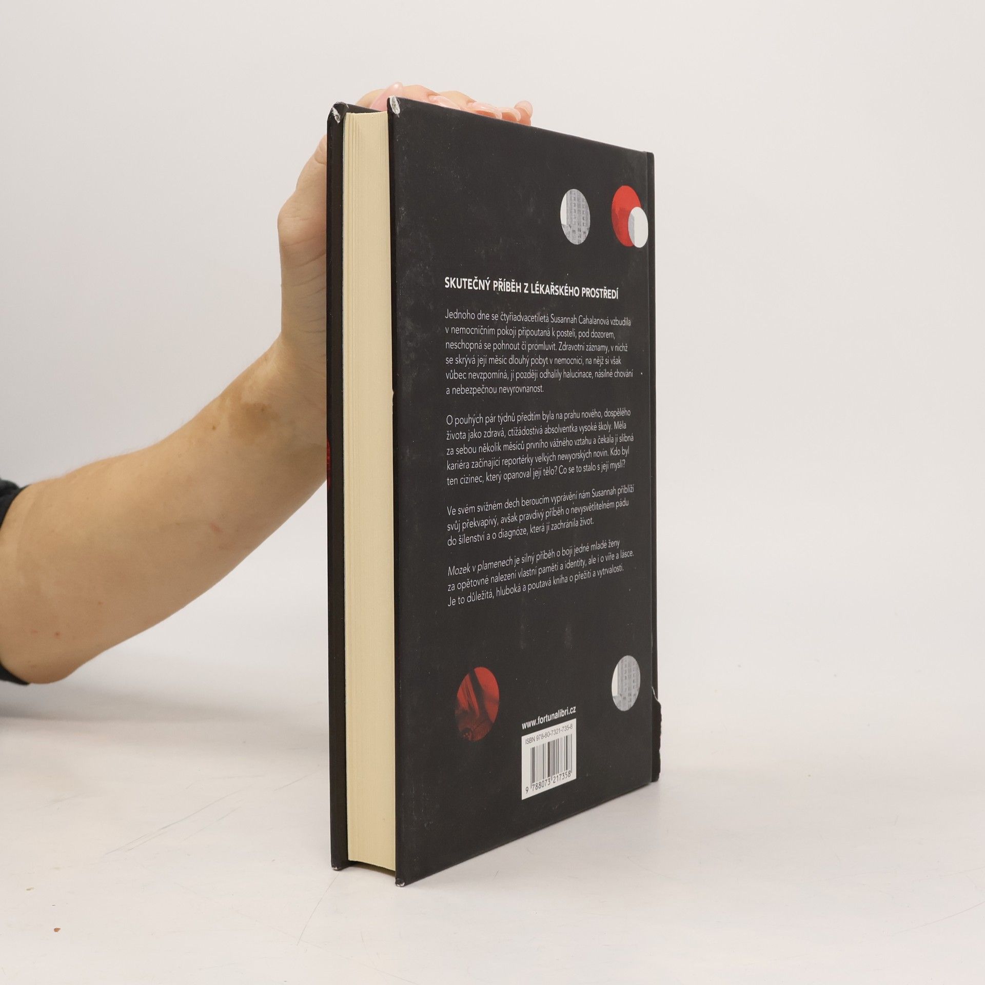 Susannah Cahalan Mozek v plamenech : můj měsíc šílenství
