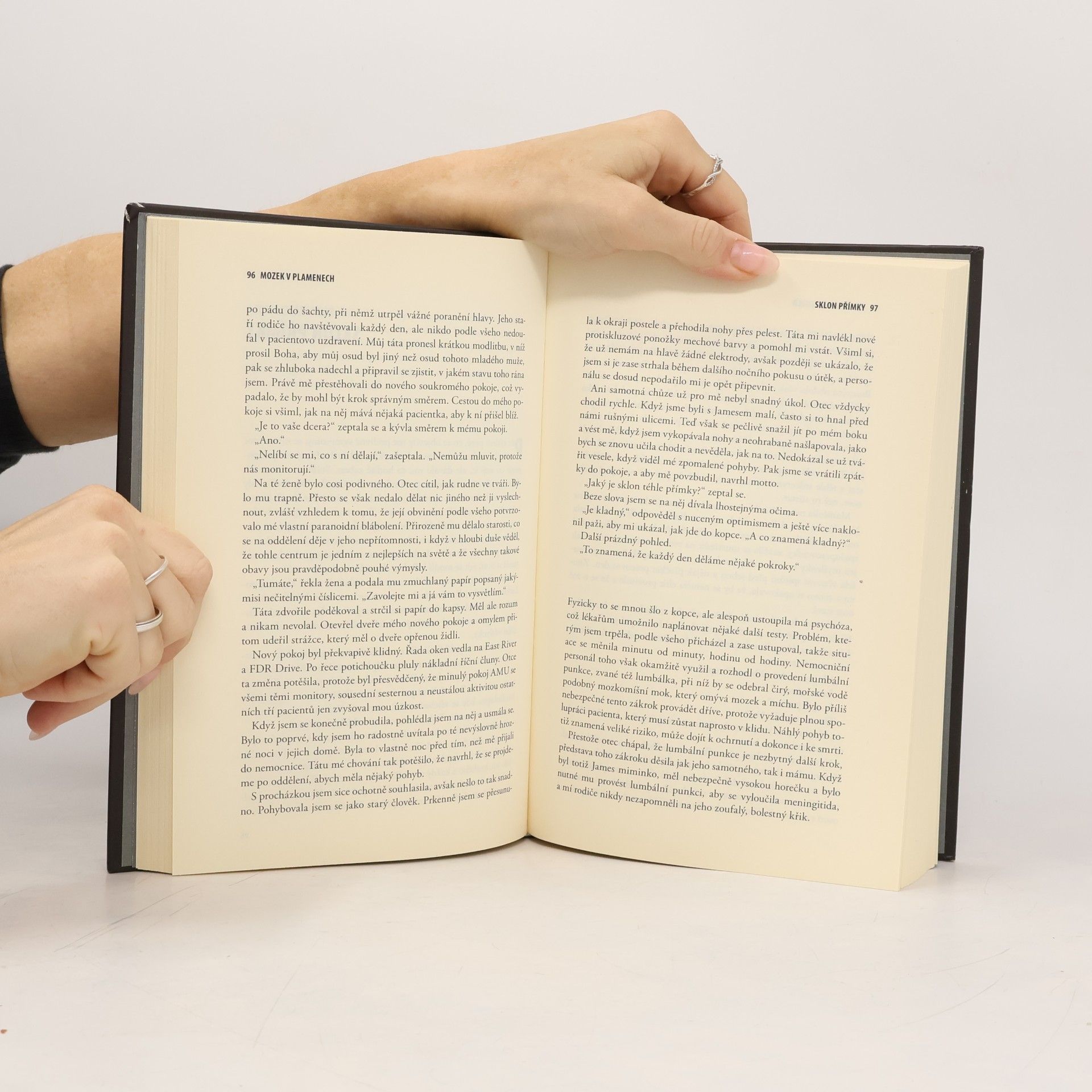 Susannah Cahalan Mozek v plamenech : můj měsíc šílenství