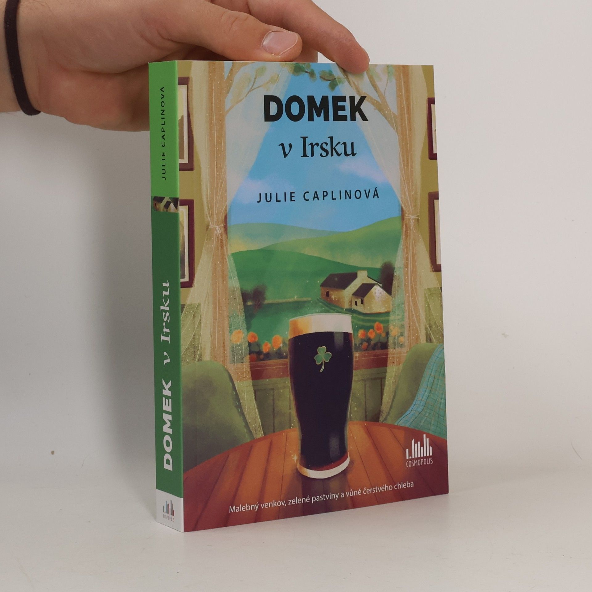 Domek v Irsku