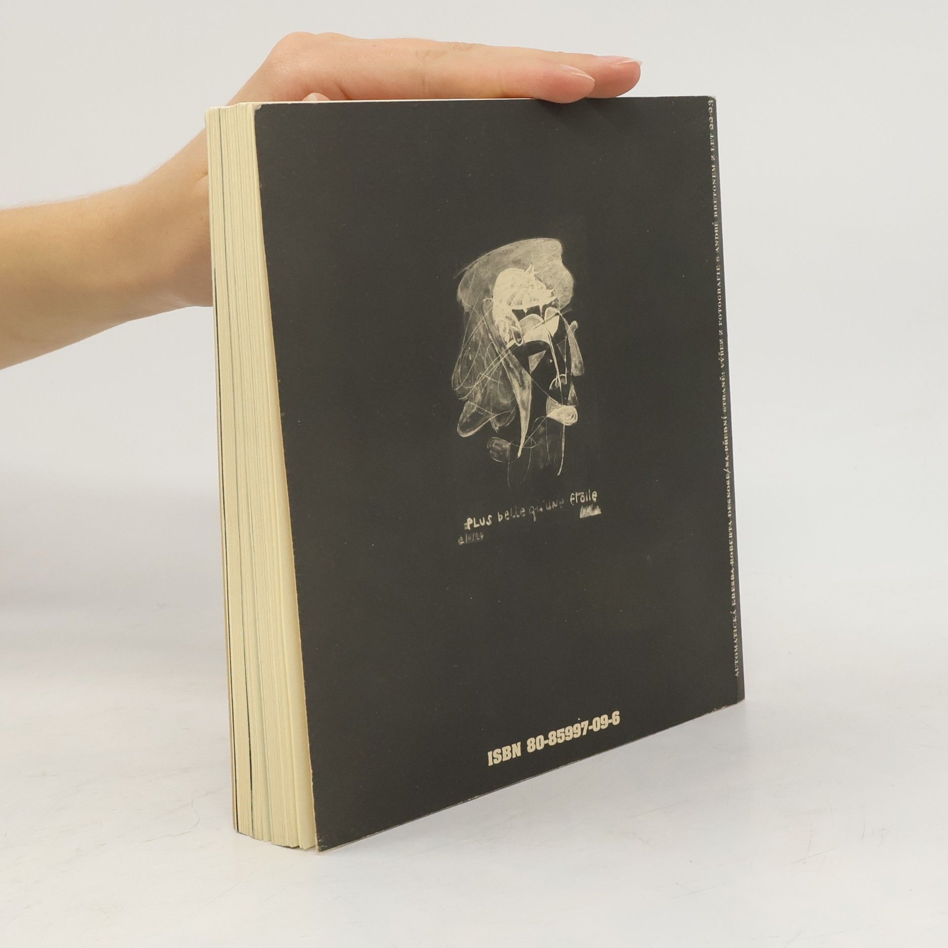 Robert Desnos Nedopitá láhev