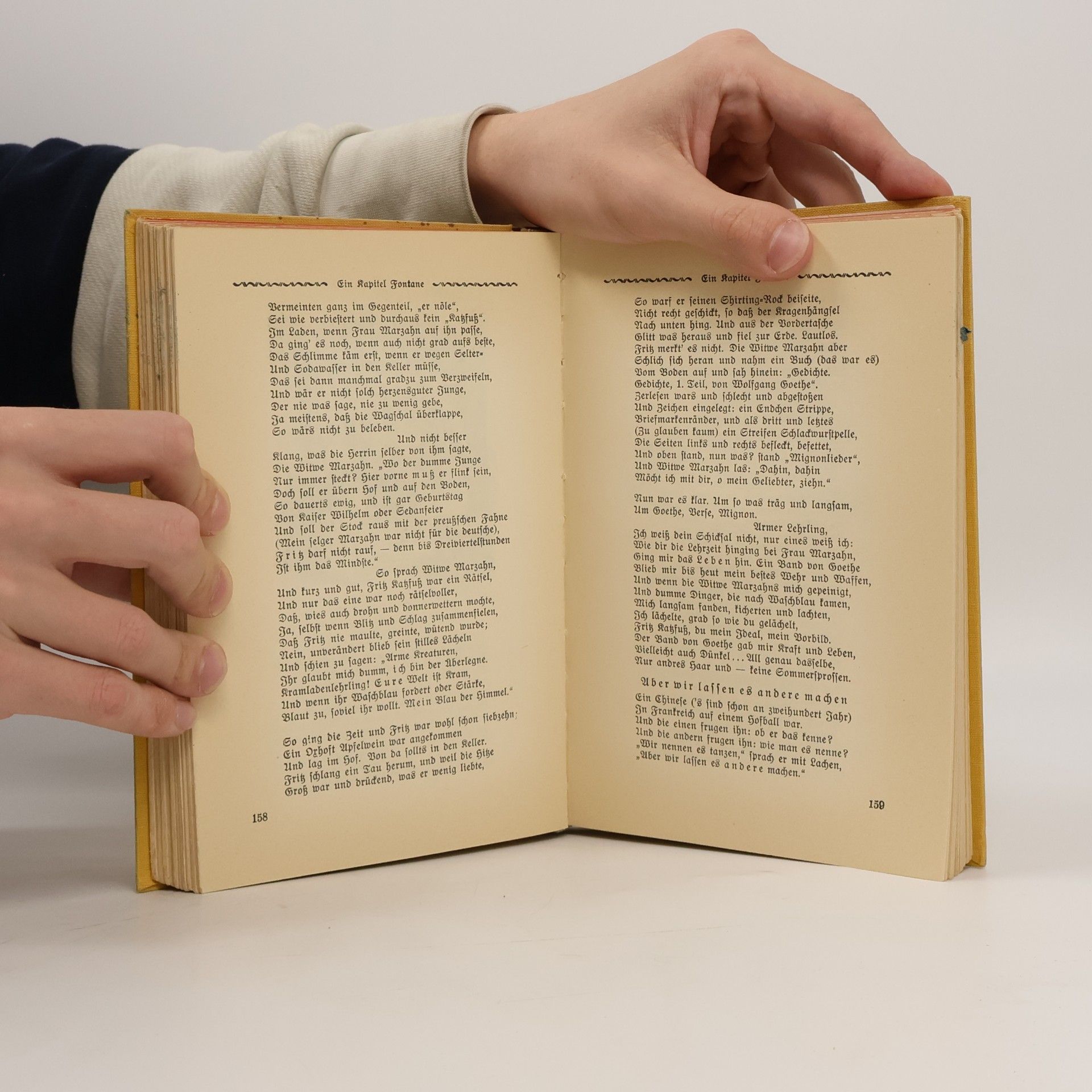 Ferdinand Avenarius Das Fröhliche Buch
