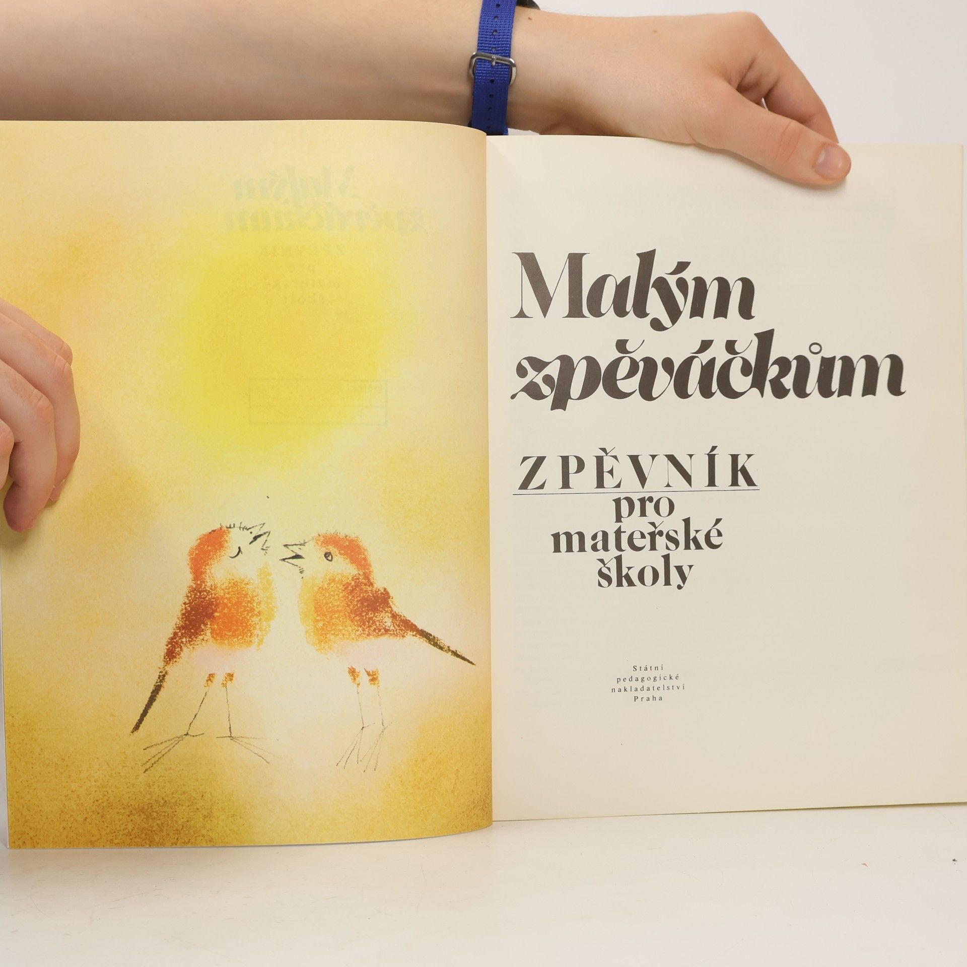 Ota Janeček Malým zpěváčkům. Zpěvník pro mateřské školy