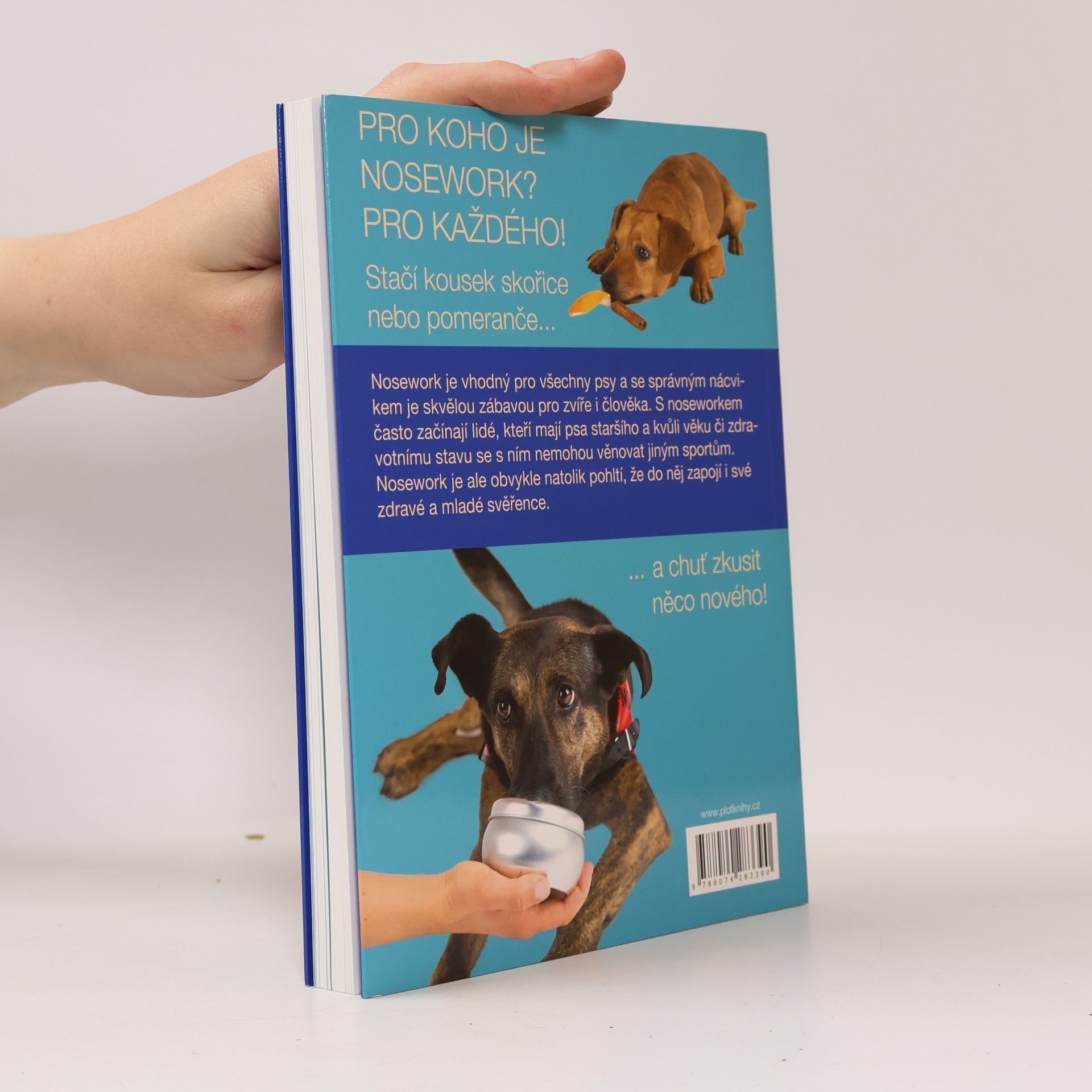 Kristýna Dostálková Nosework. Práce i zábava nejen pro psí nos