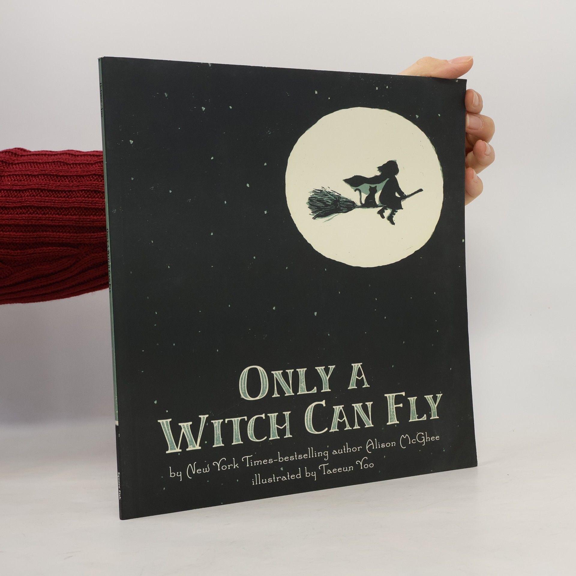 Alison McGhee Only a Witch Can Fly