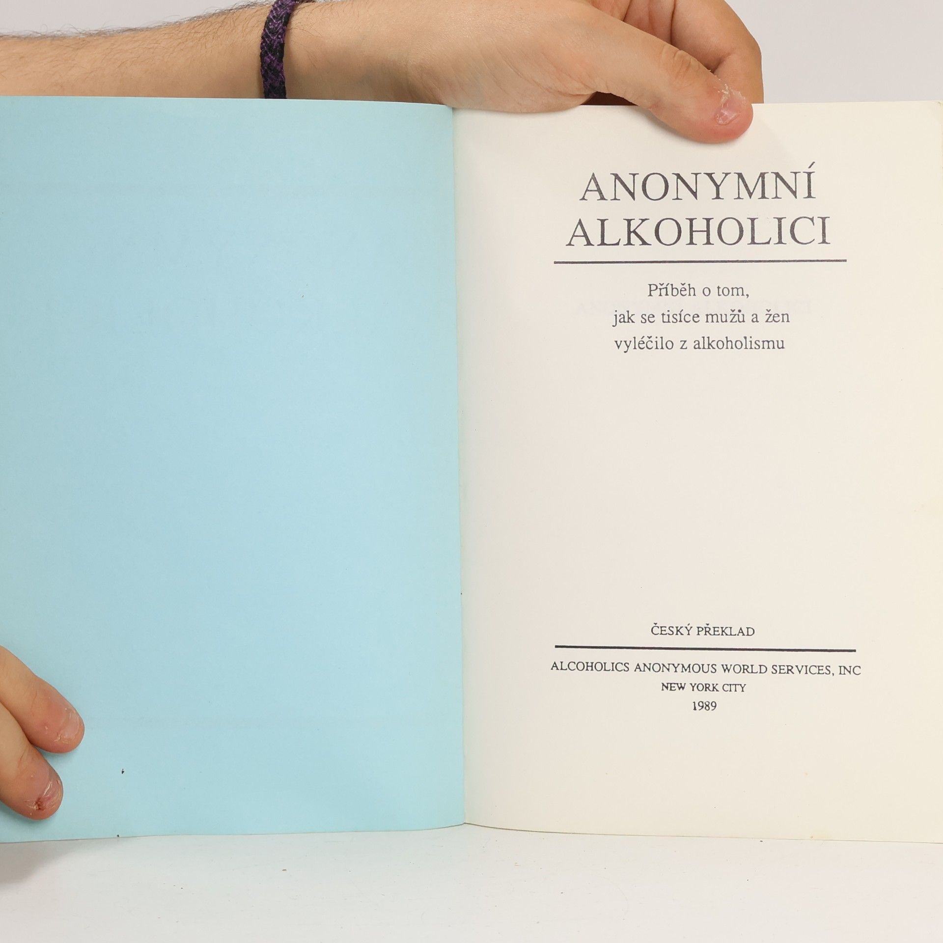 Various authors Anonymní alkoholici