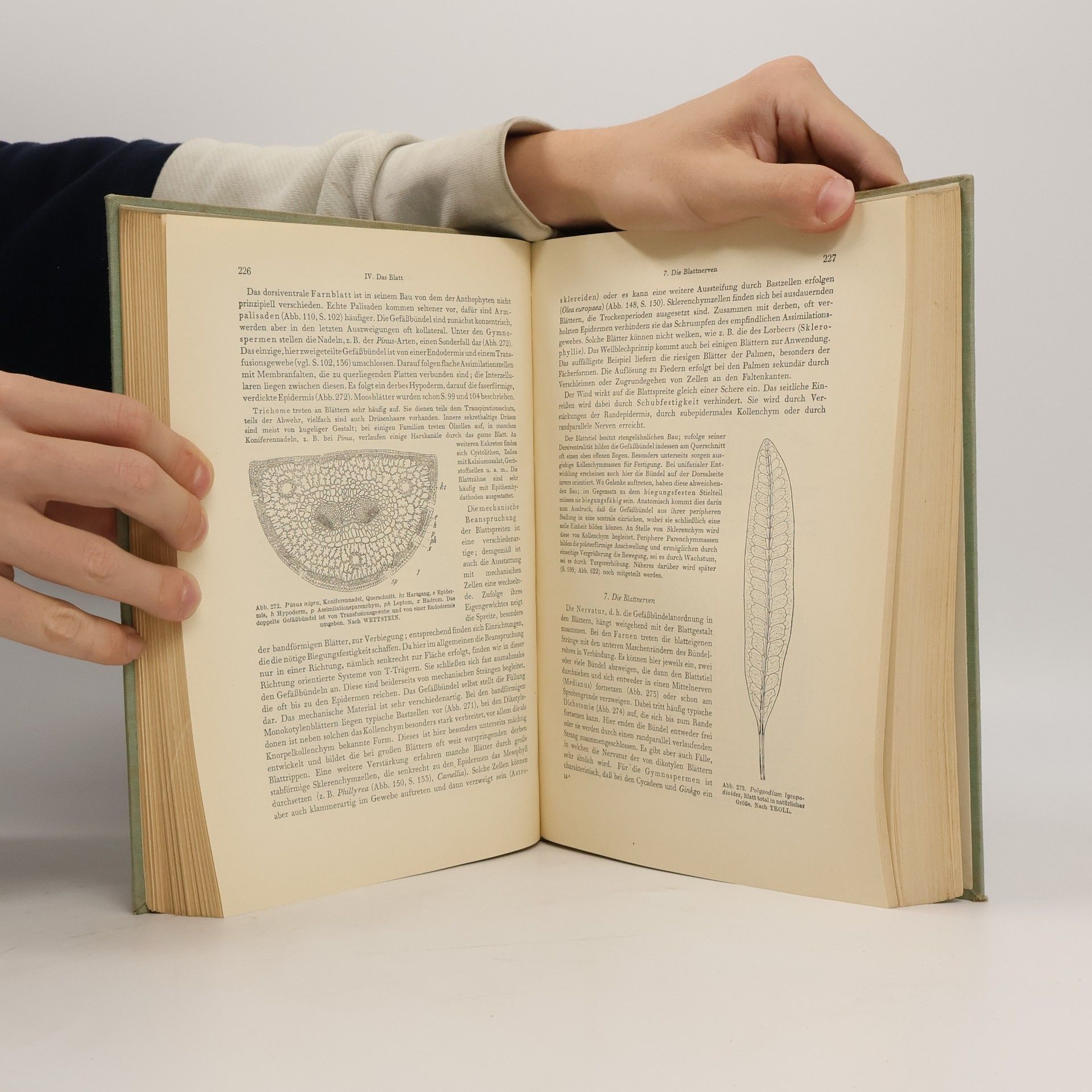 Hermann von Guttenberg Lehrbuch der allgemeinen Botanik