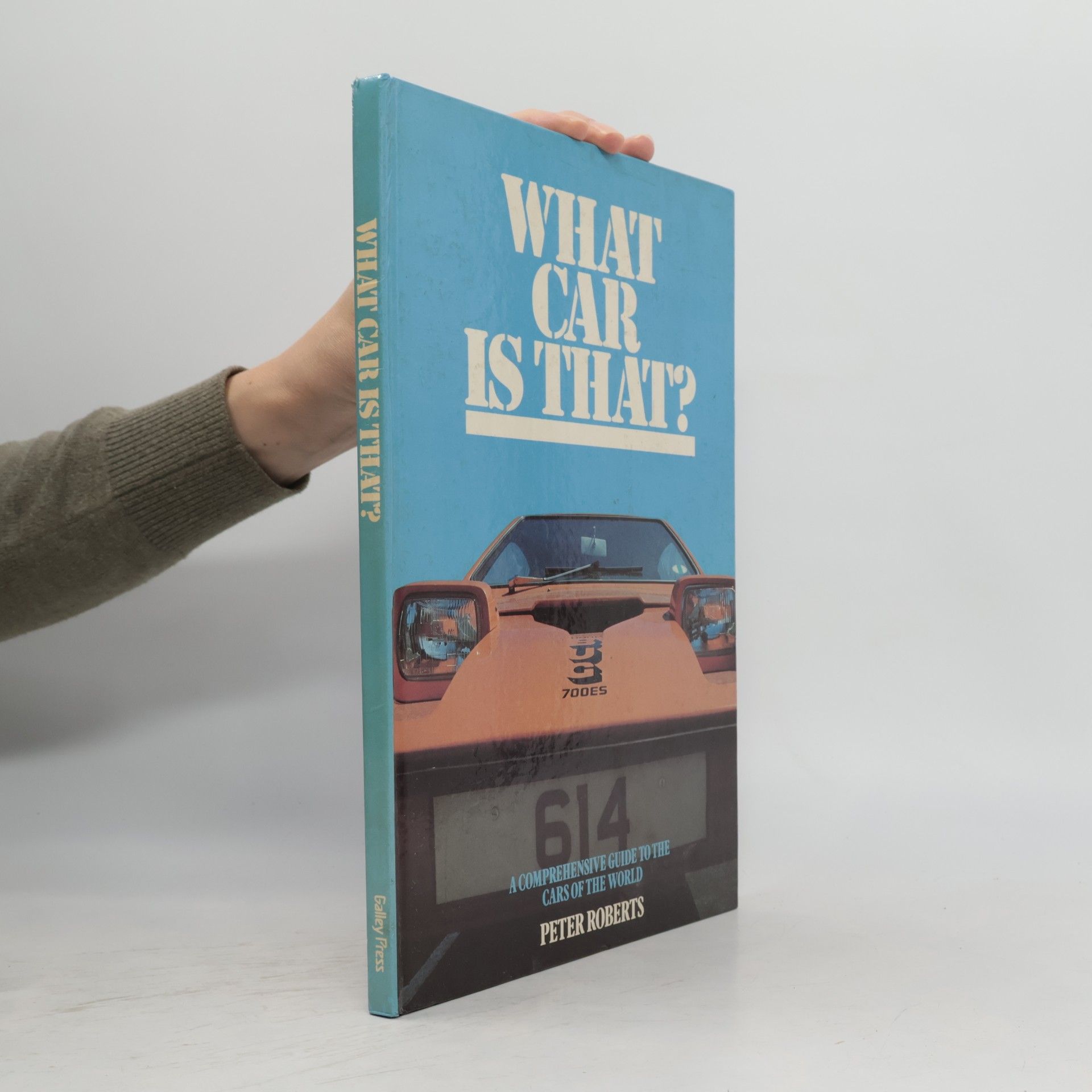 What car is that?