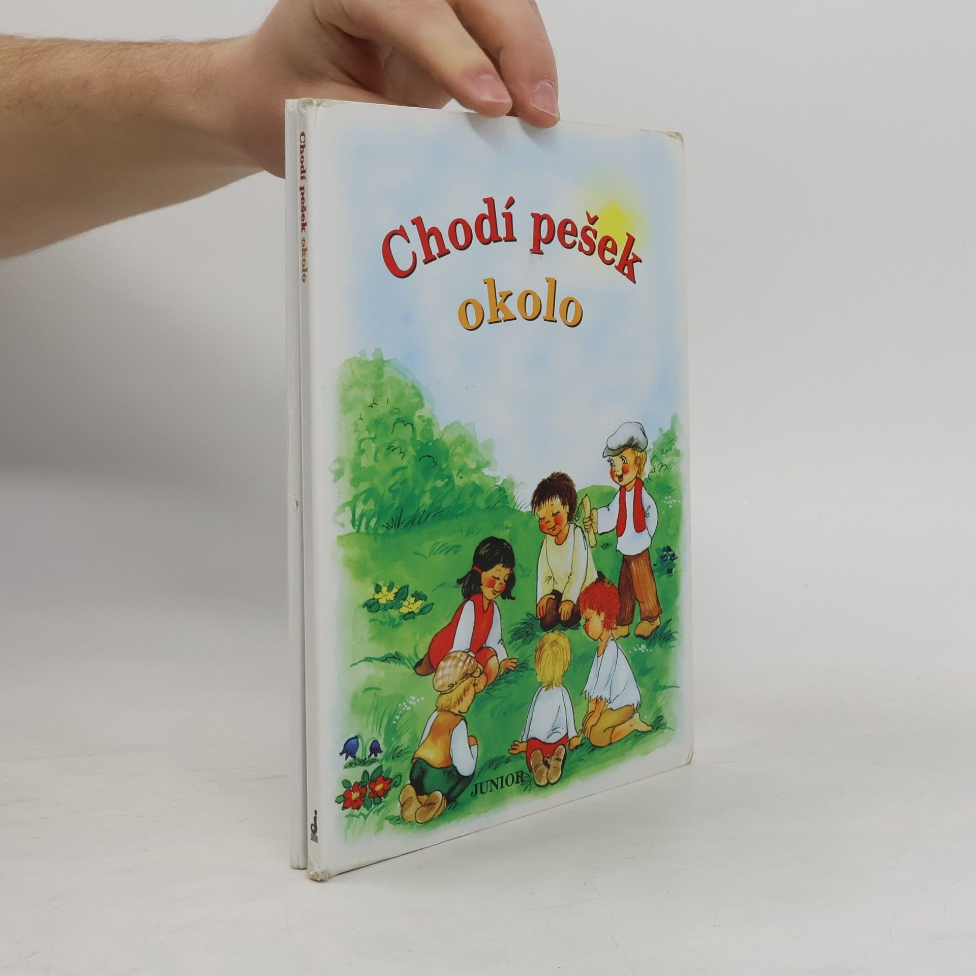 Chodí pešek okolo (leporelo)
