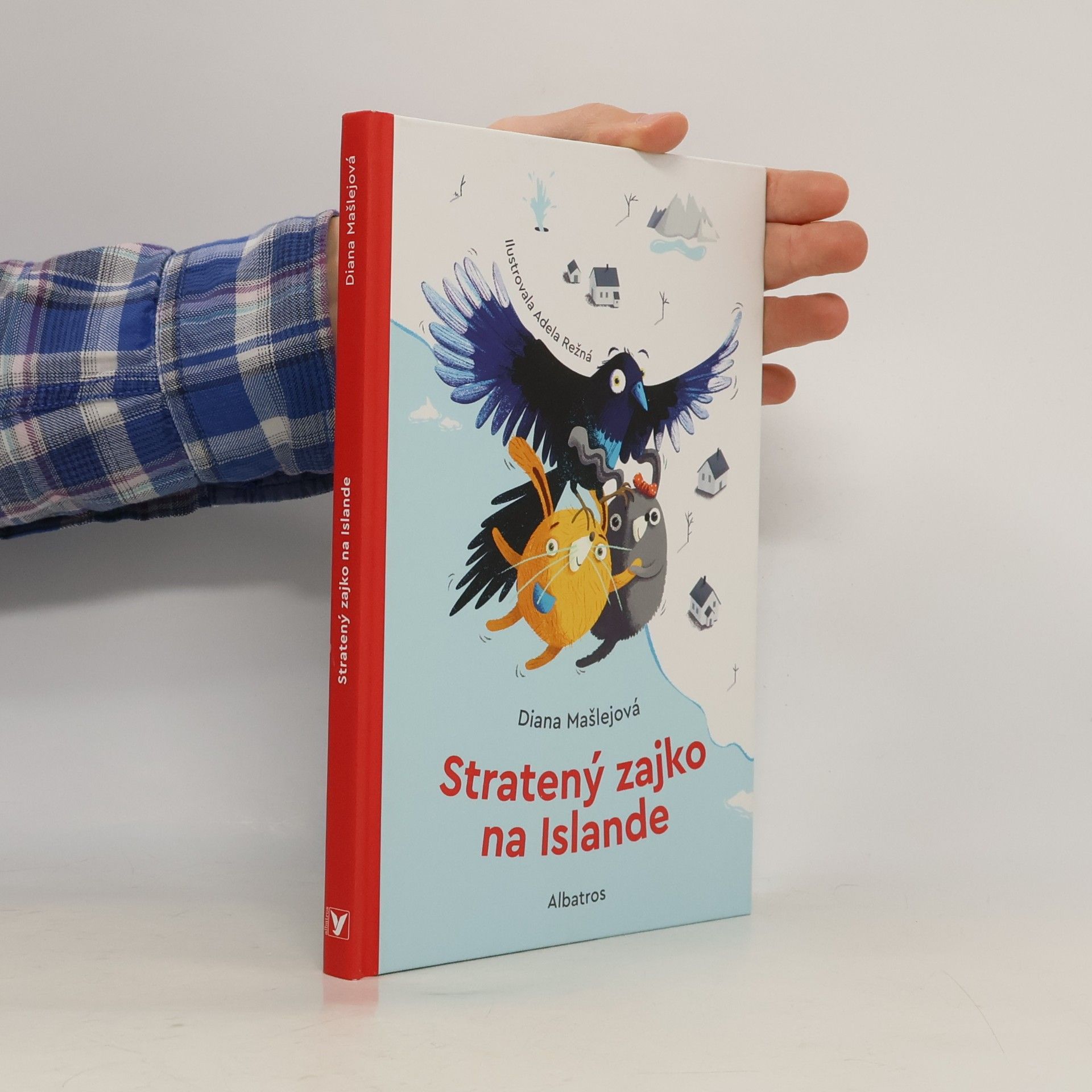 Stratený zajko na Islande